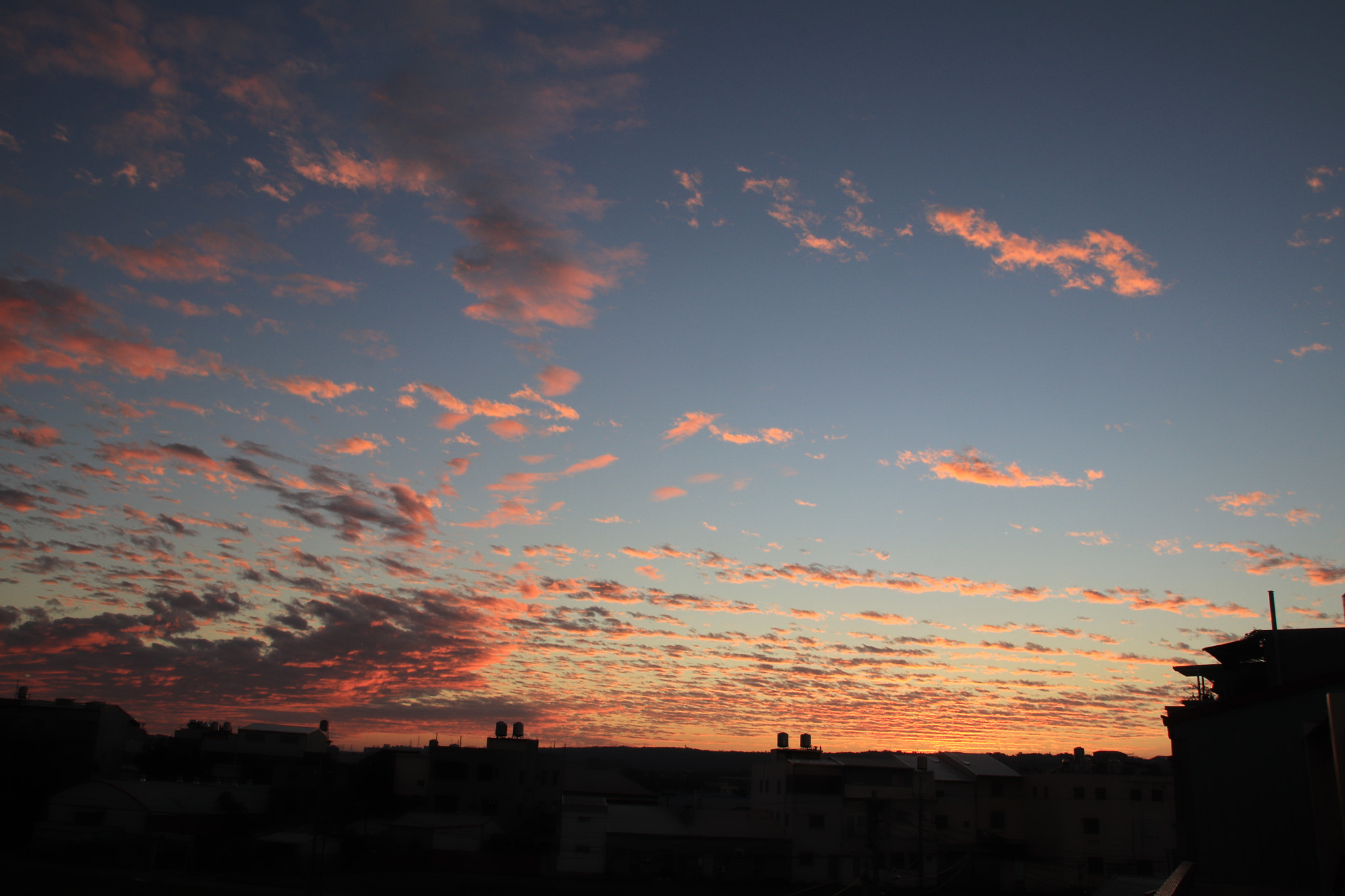 Canon EOS 800D (EOS Rebel T7i / EOS Kiss X9i) sample photo. 夕陽 photography
