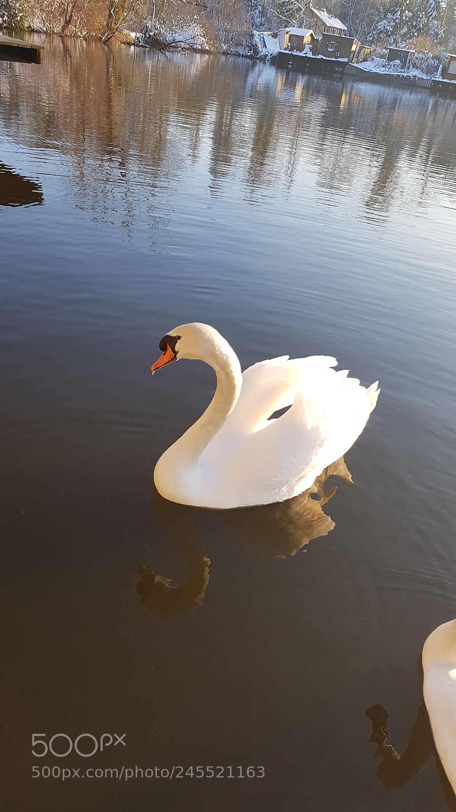 Samsung Galaxy S7 sample photo. Signe photography