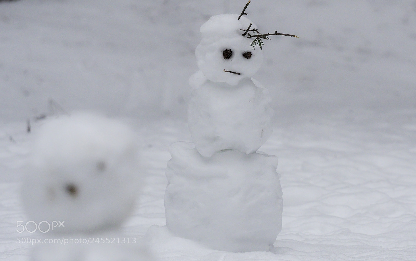 Olympus OM-D E-M1 Mark II sample photo. Winter in lithuania photography