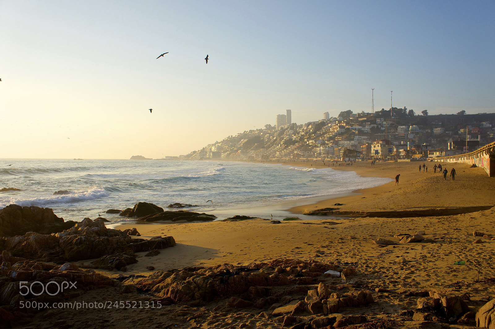 Sony Alpha NEX-5 sample photo. Playa de reñaca photography