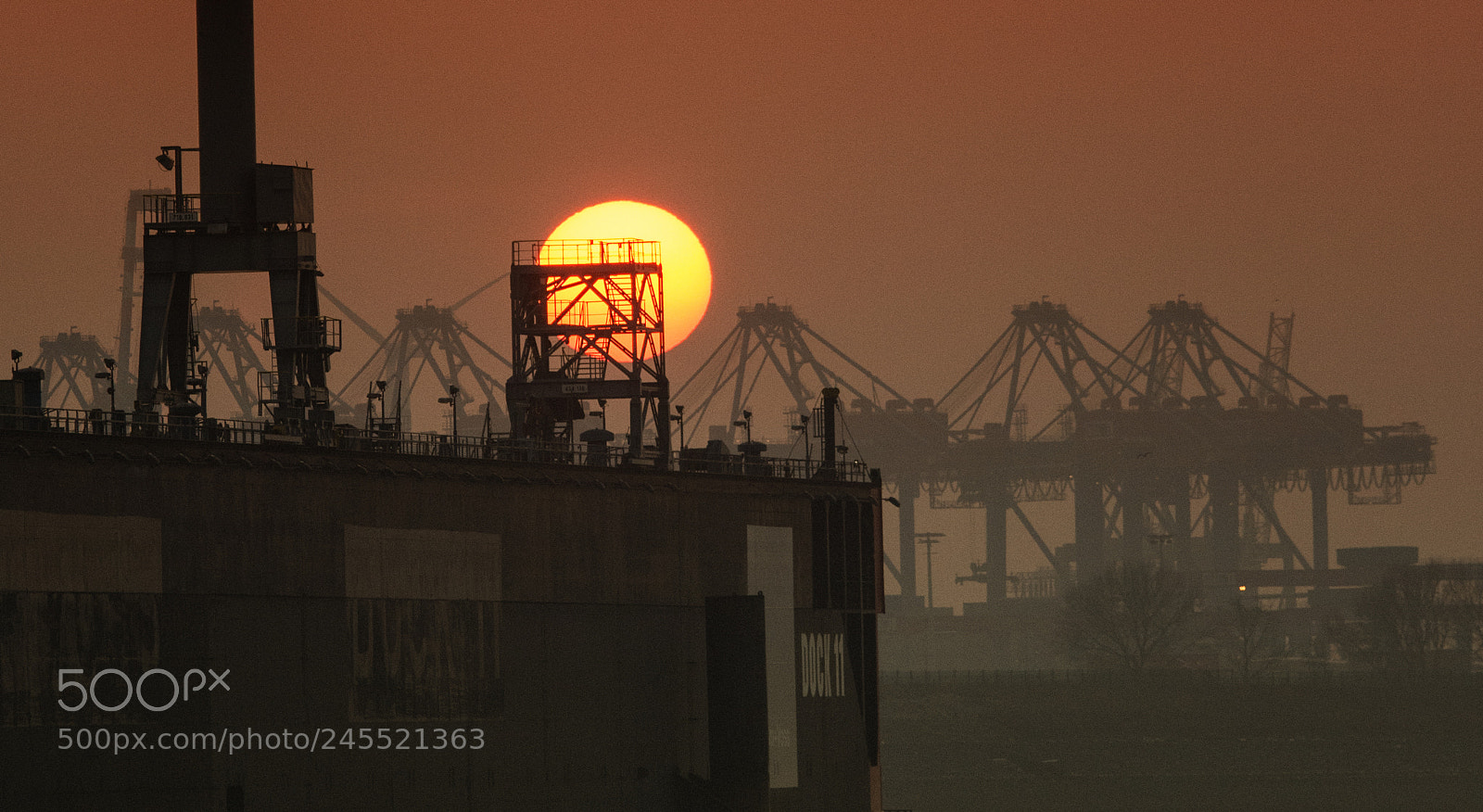 Nikon D7200 sample photo. Sonne an dock 11 photography