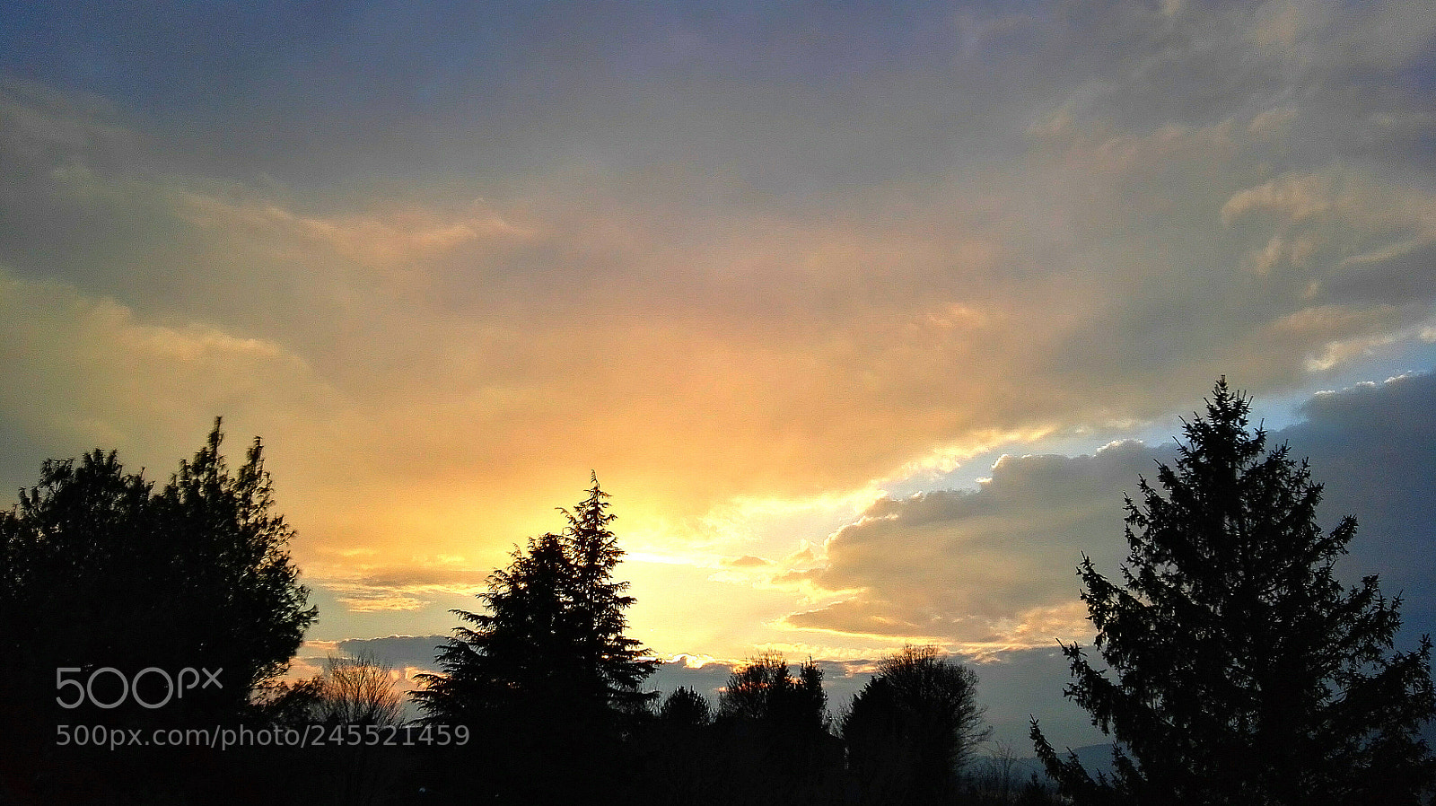 HUAWEI P8 sample photo. Last light on my photography