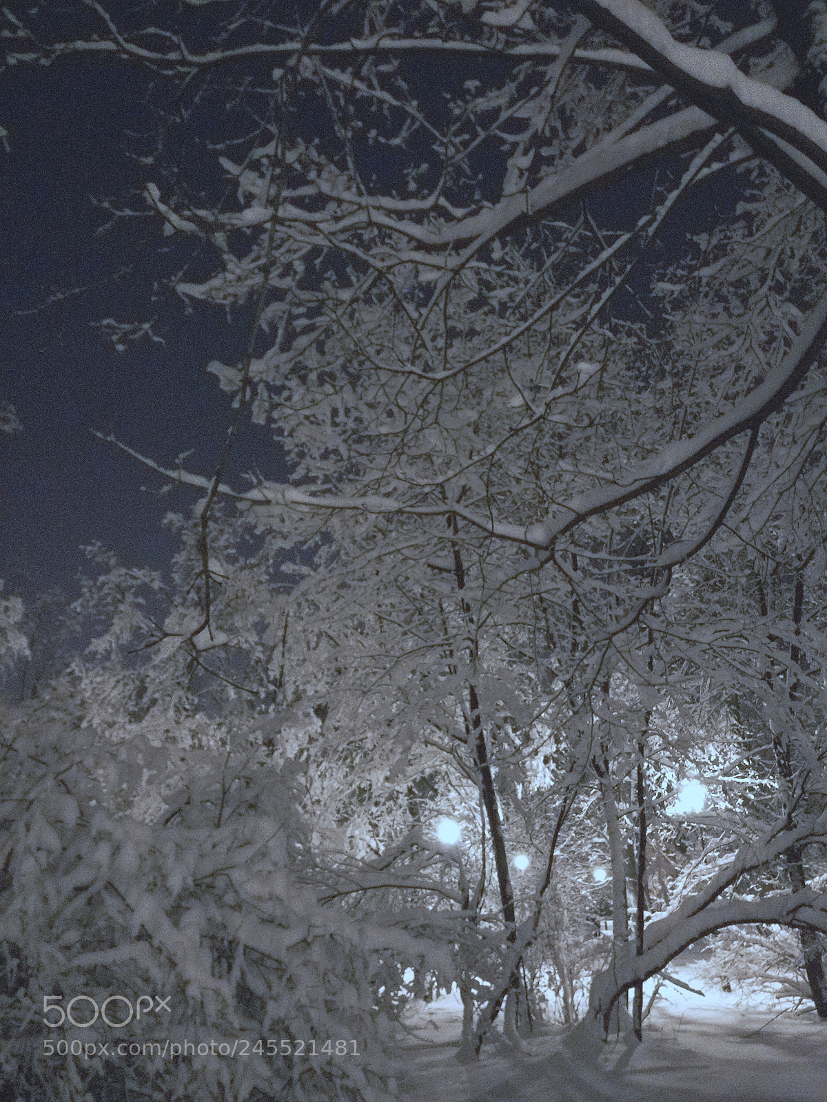 OnePlus A3003 sample photo. Frosty trees, winter 2018 photography