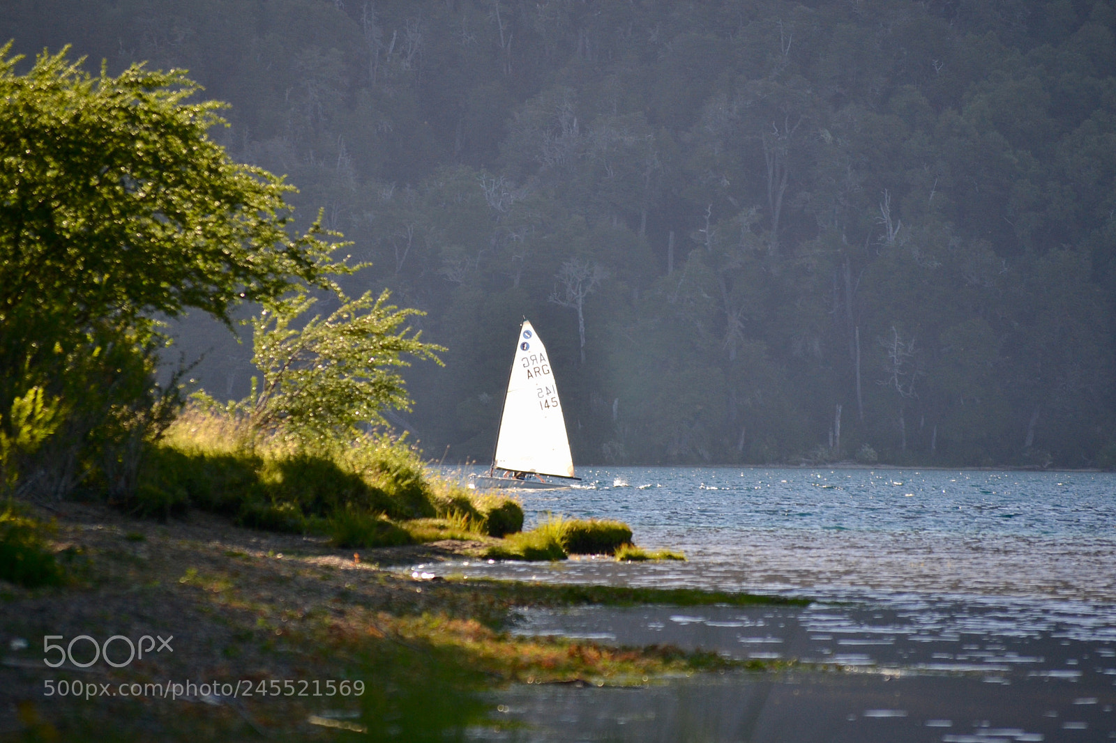 Nikon D3100 sample photo. How to disappear completely photography