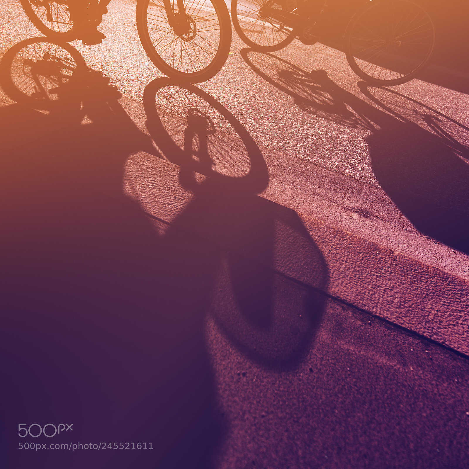 Nikon D810 sample photo. Cyclist riding bicycle on photography
