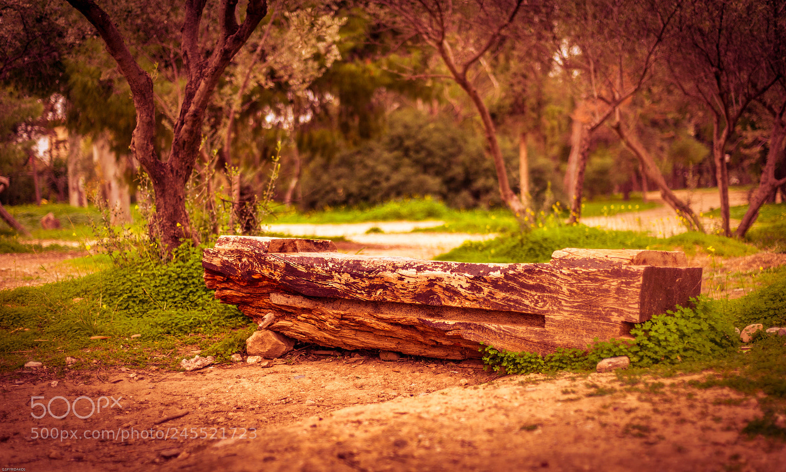 Nikon D700 sample photo. The woοden bench photography