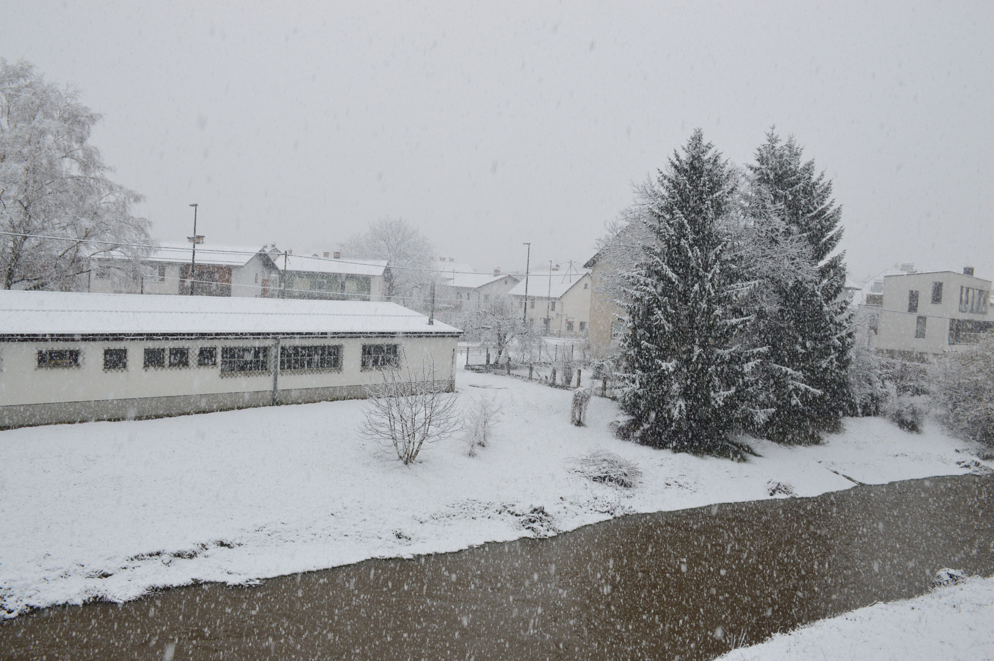 Nikon D3200 sample photo