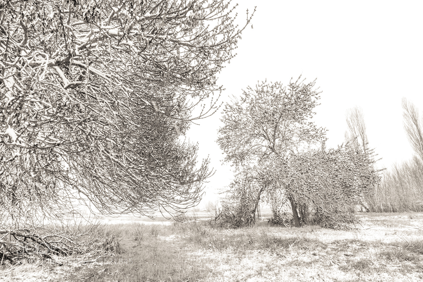 Fujifilm X-Pro2 sample photo. El crudo invierno photography