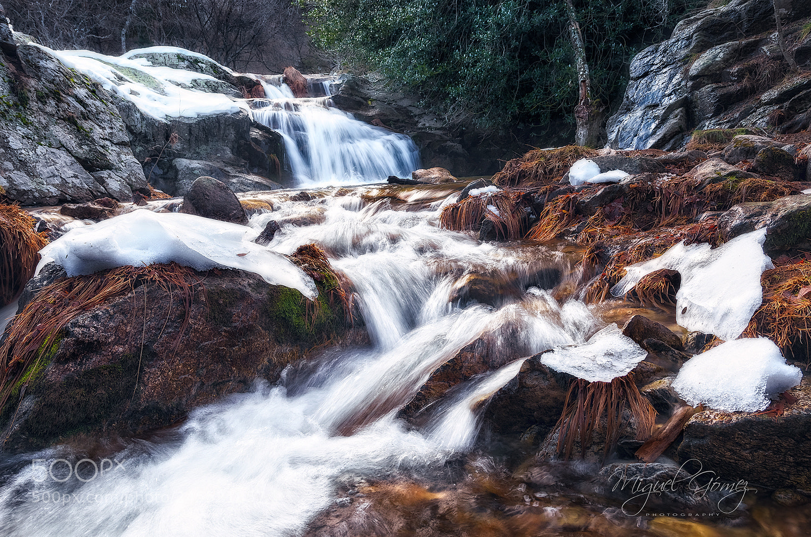 Nikon D5100 sample photo. La forma del agua photography