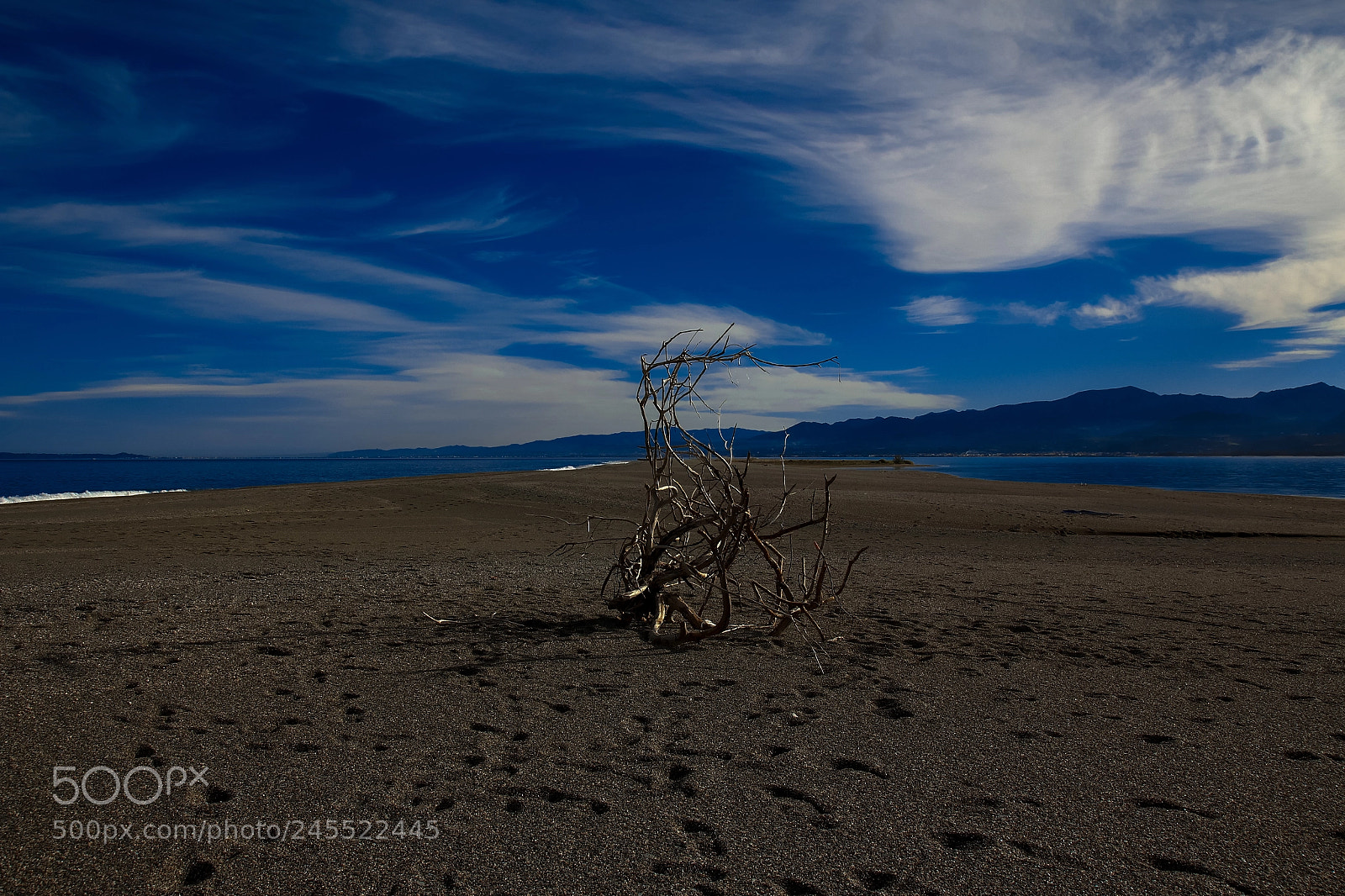 Canon EOS 550D (EOS Rebel T2i / EOS Kiss X4) sample photo. Wood in the sand photography