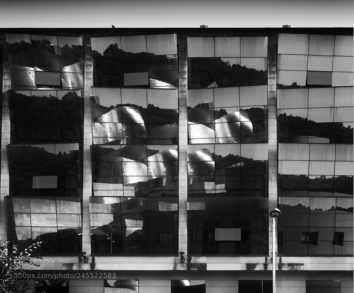 Olympus OM-D E-M5 sample photo. Reflection photography