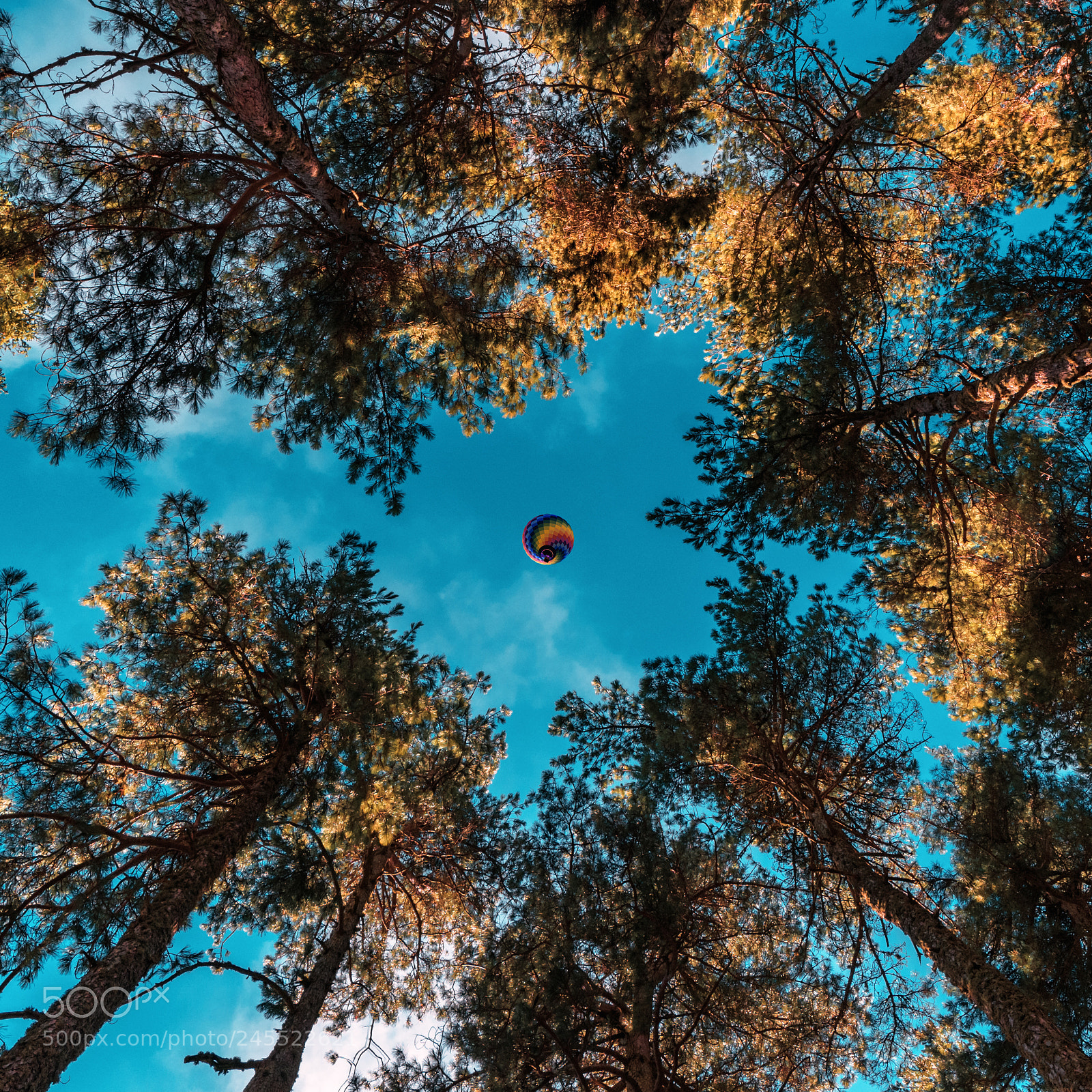 Nikon D7100 sample photo. The flying traveler photography