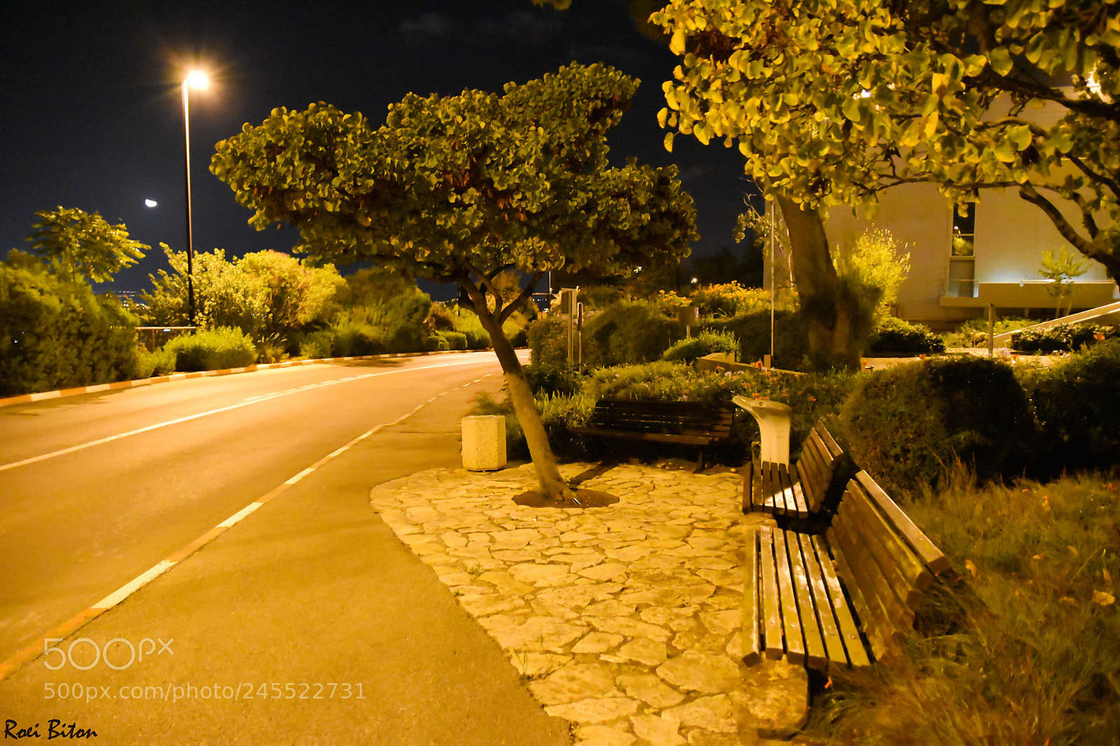 Nikon D5500 sample photo. Quiet place photography