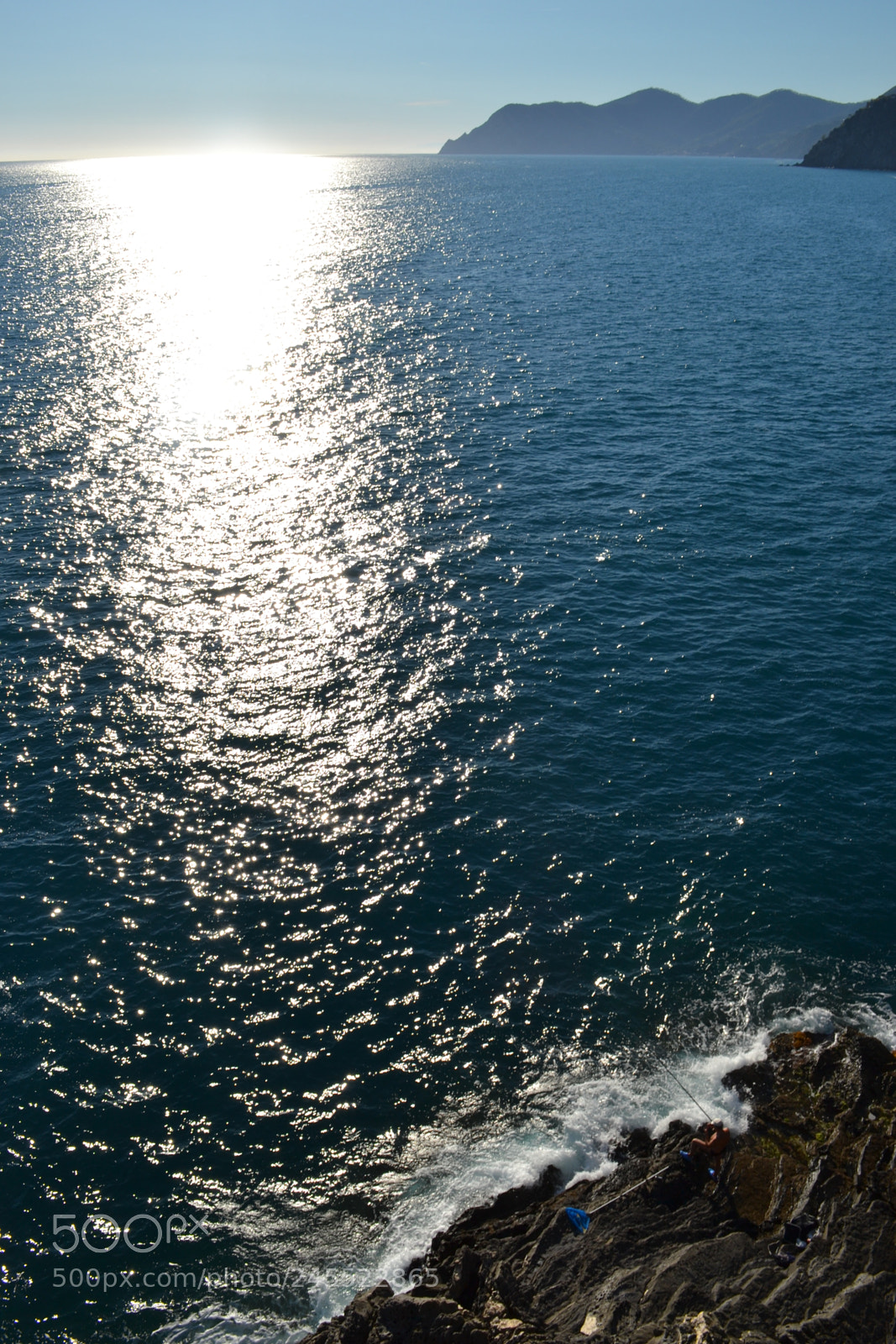 Nikon D3100 sample photo. Hooked to the sun photography