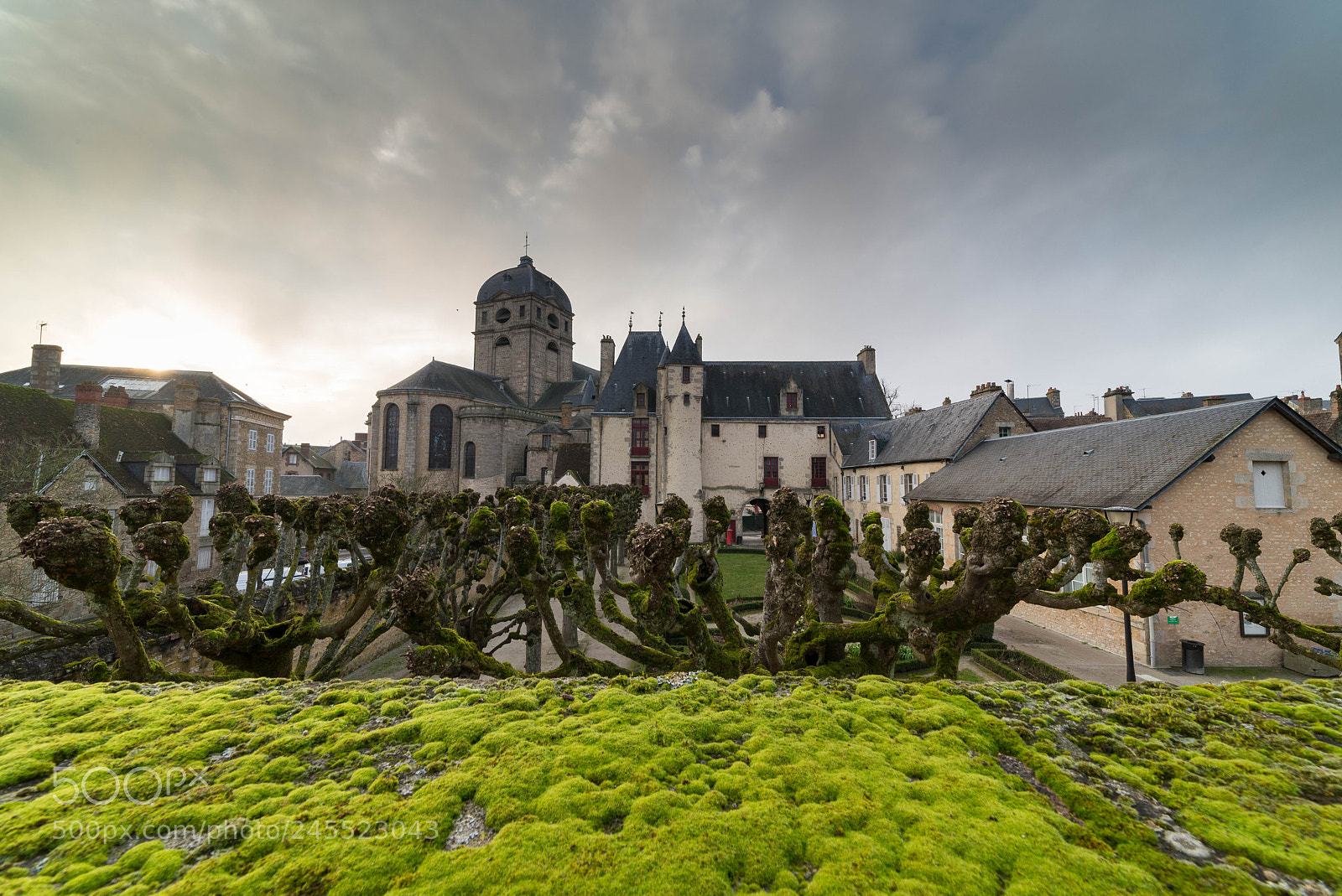 Nikon D610 sample photo. Alençon photography