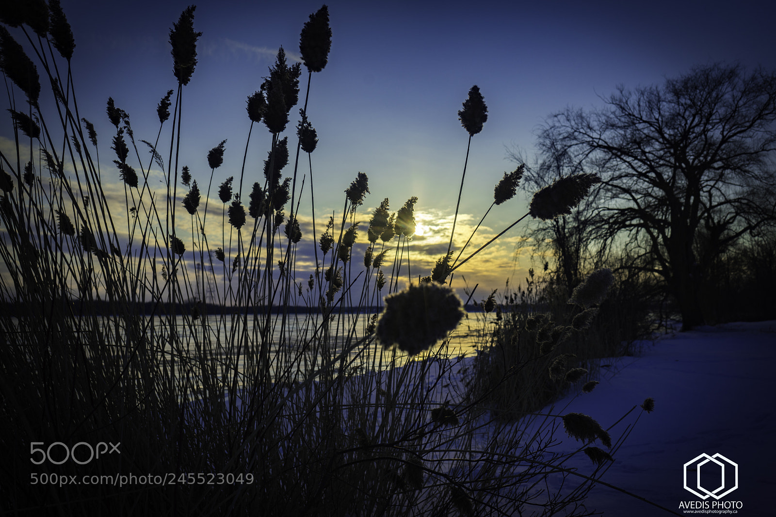 Sony a7 II sample photo. Nature photoshoot, st lawrence photography