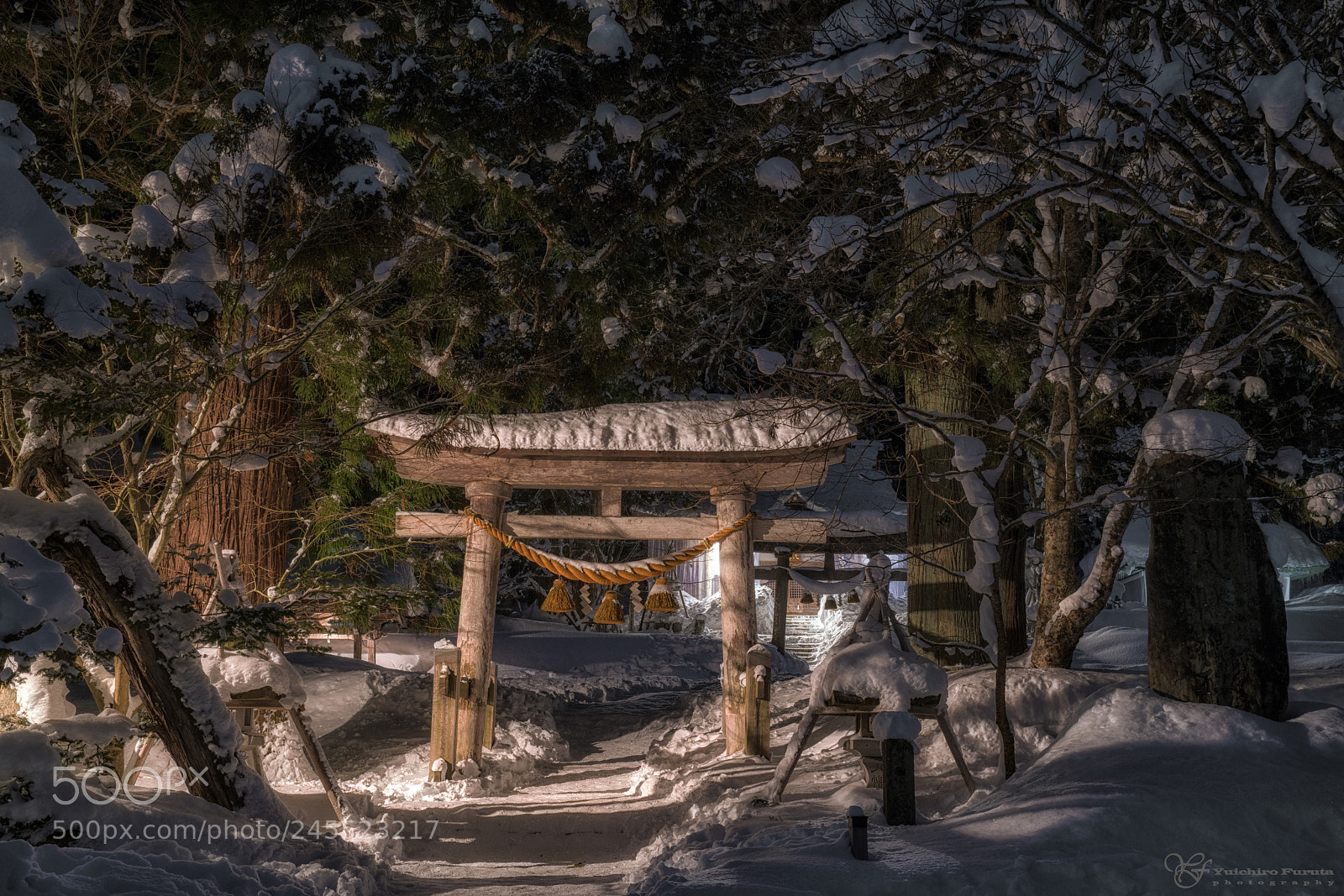 Sony a7R III sample photo. Torii gate photography