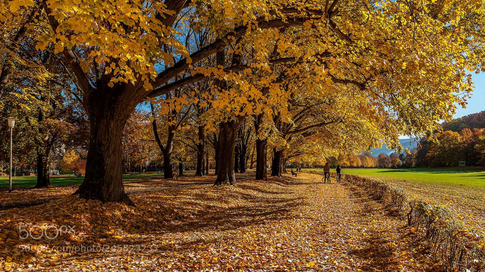 Nikon D300S sample photo. Autumn photography