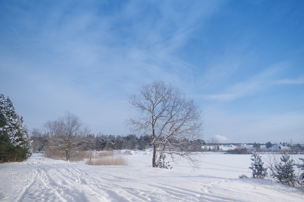 Pentax K-3 sample photo. Winter iii photography