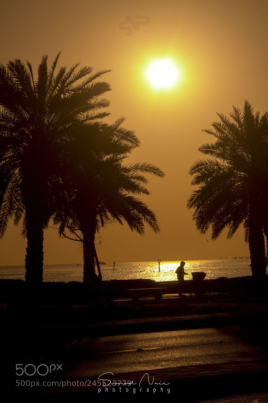Canon EOS 600D (Rebel EOS T3i / EOS Kiss X5) sample photo. Morning beach photography