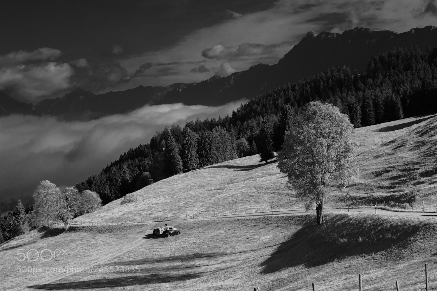 Canon EOS 5D sample photo. B&w photography