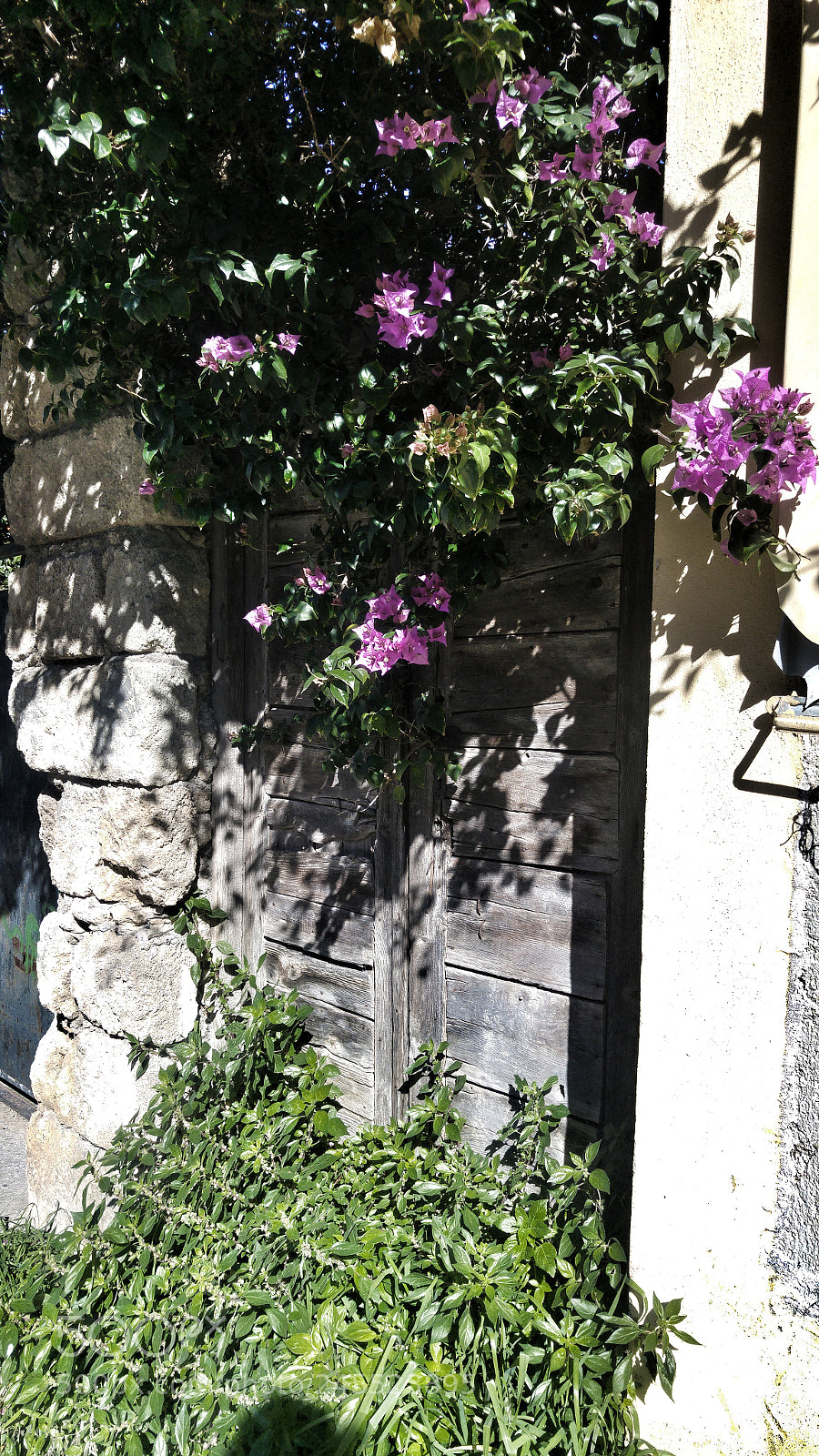 LG G4 sample photo. Old town photography