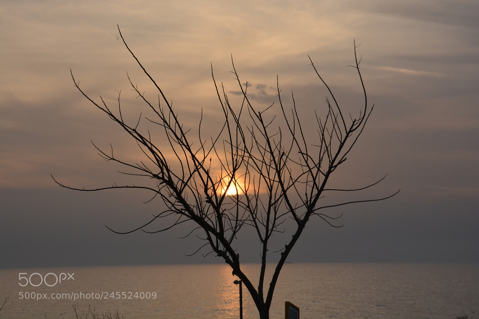 Nikon D5200 sample photo. Sunset at haifa photography