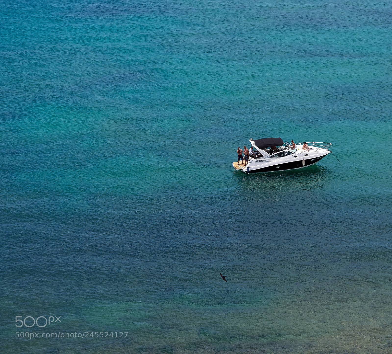 Olympus OM-D E-M1 Mark II sample photo. A boat, a bird photography