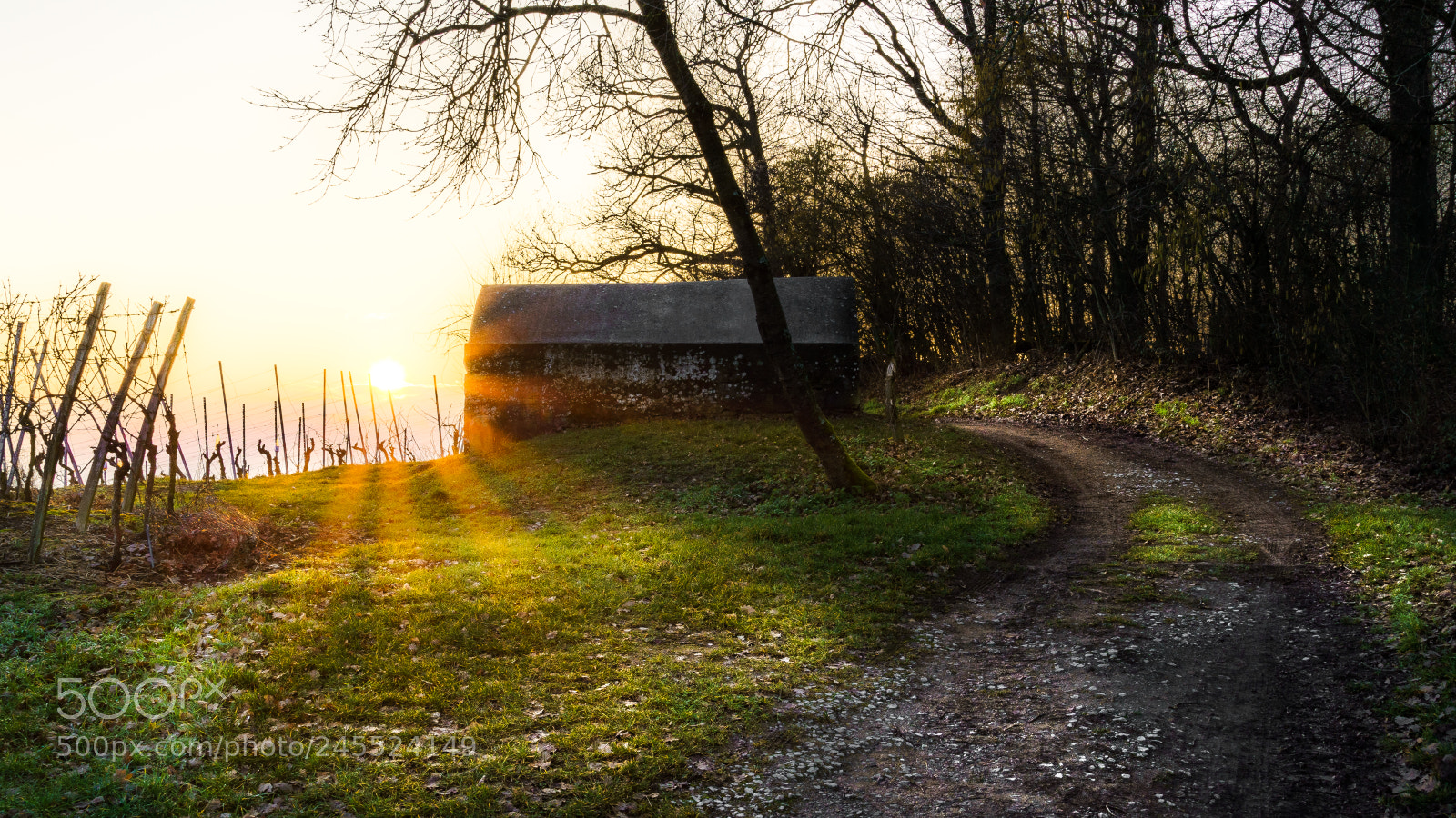 Sony a7 II sample photo. Gerade noch rechtzeitig auf photography