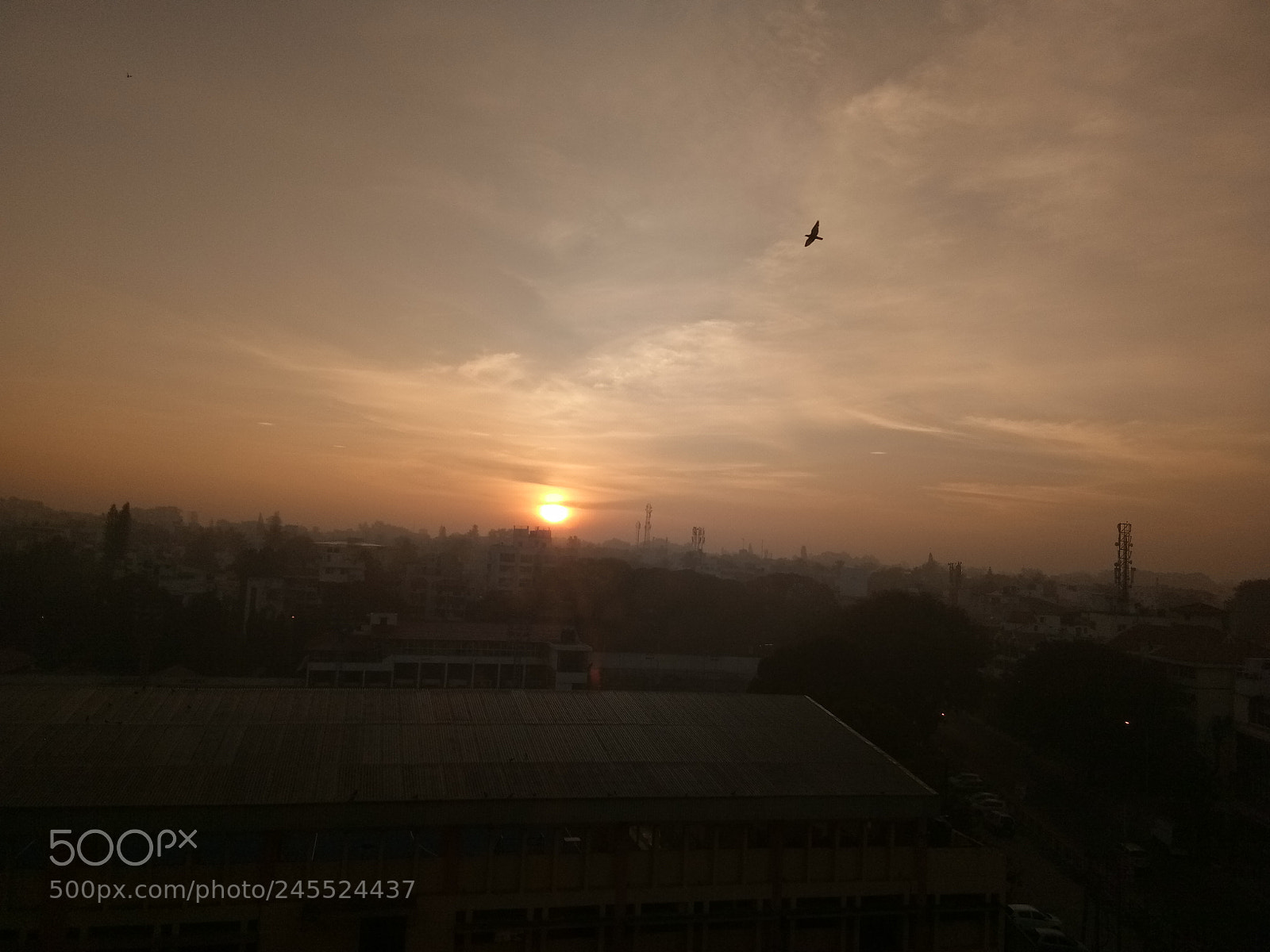 vivo 1601 sample photo. Untitled photography