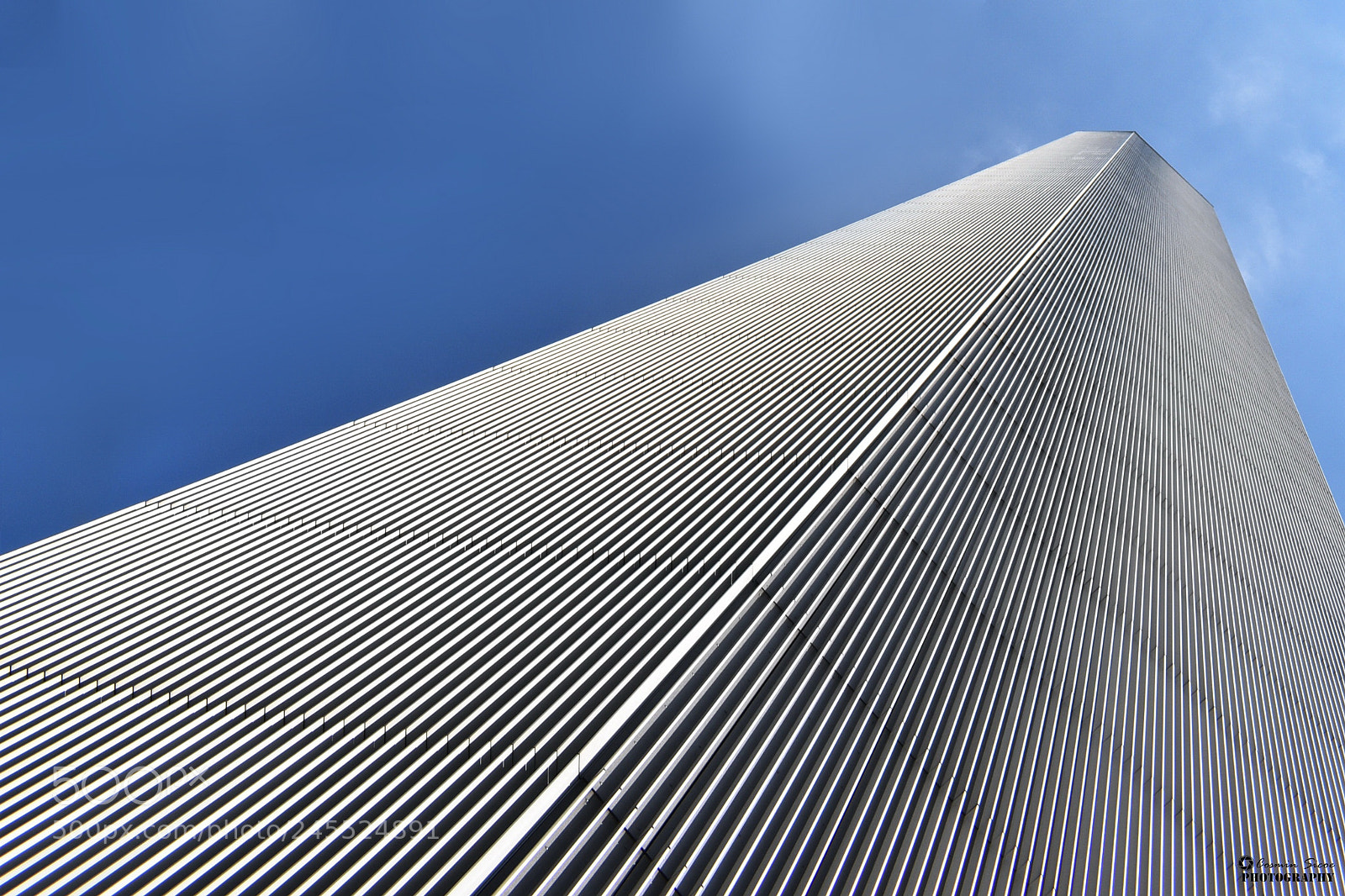 Nikon D5600 sample photo. Up to the sky photography