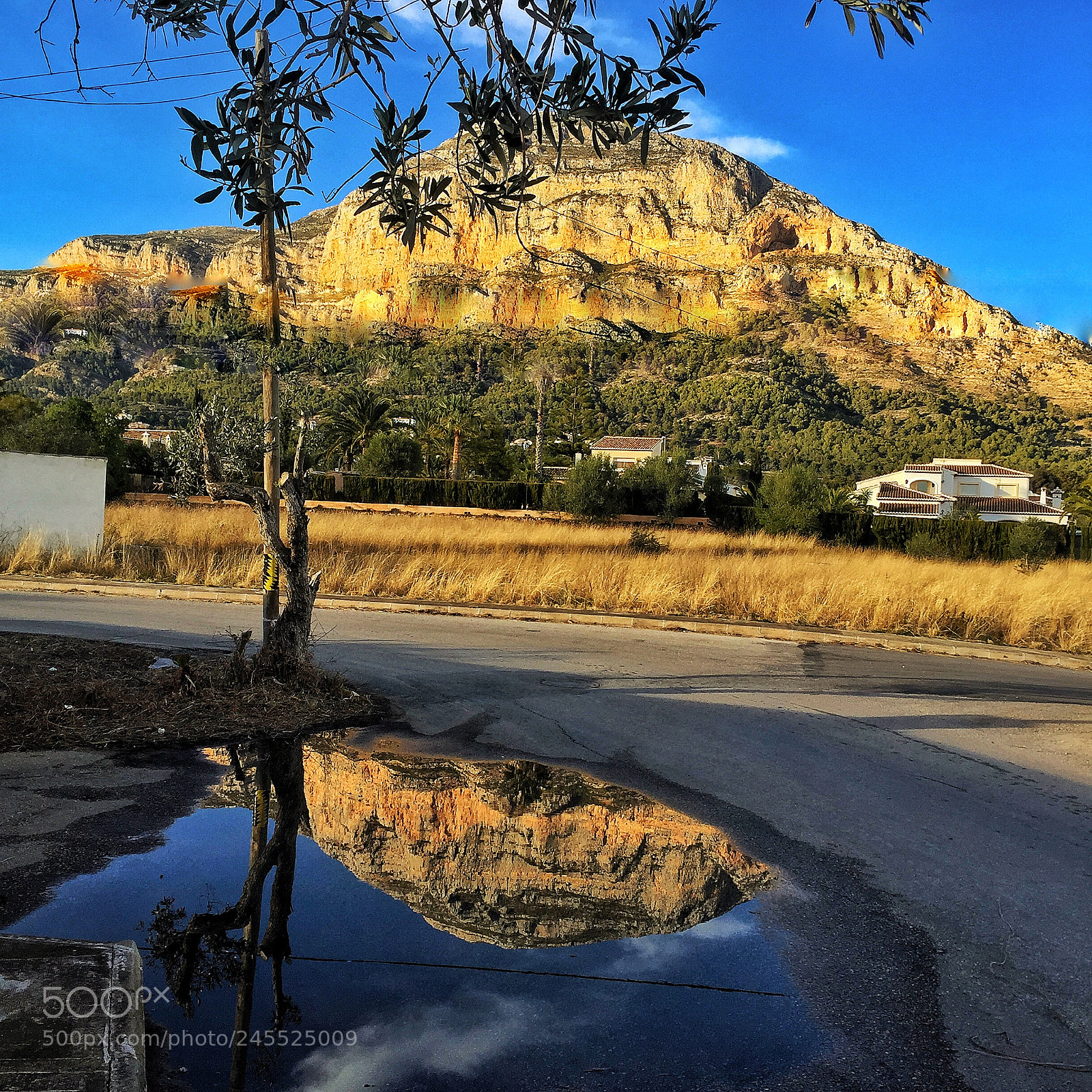 Apple iPhone 6 sample photo. Not often we get photography