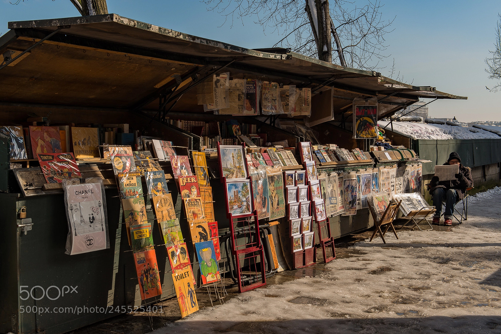 Nikon D800 sample photo. Bouquiniste parisien photography