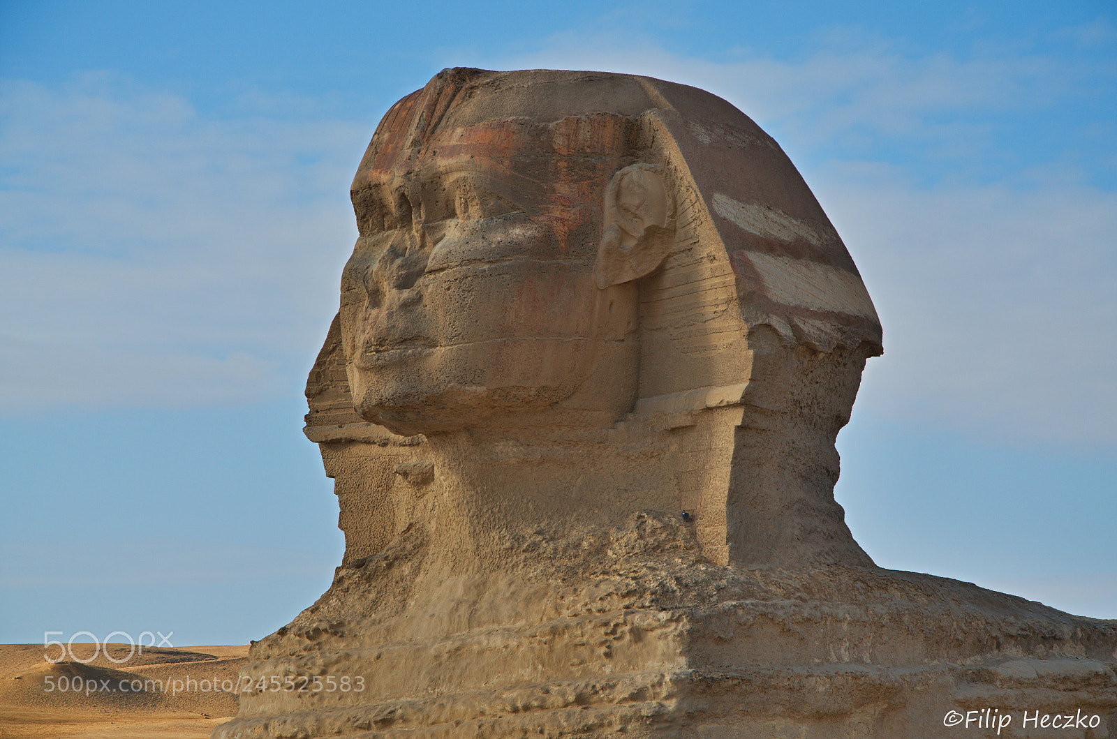 Nikon D5100 sample photo. Great sphinx of giza photography