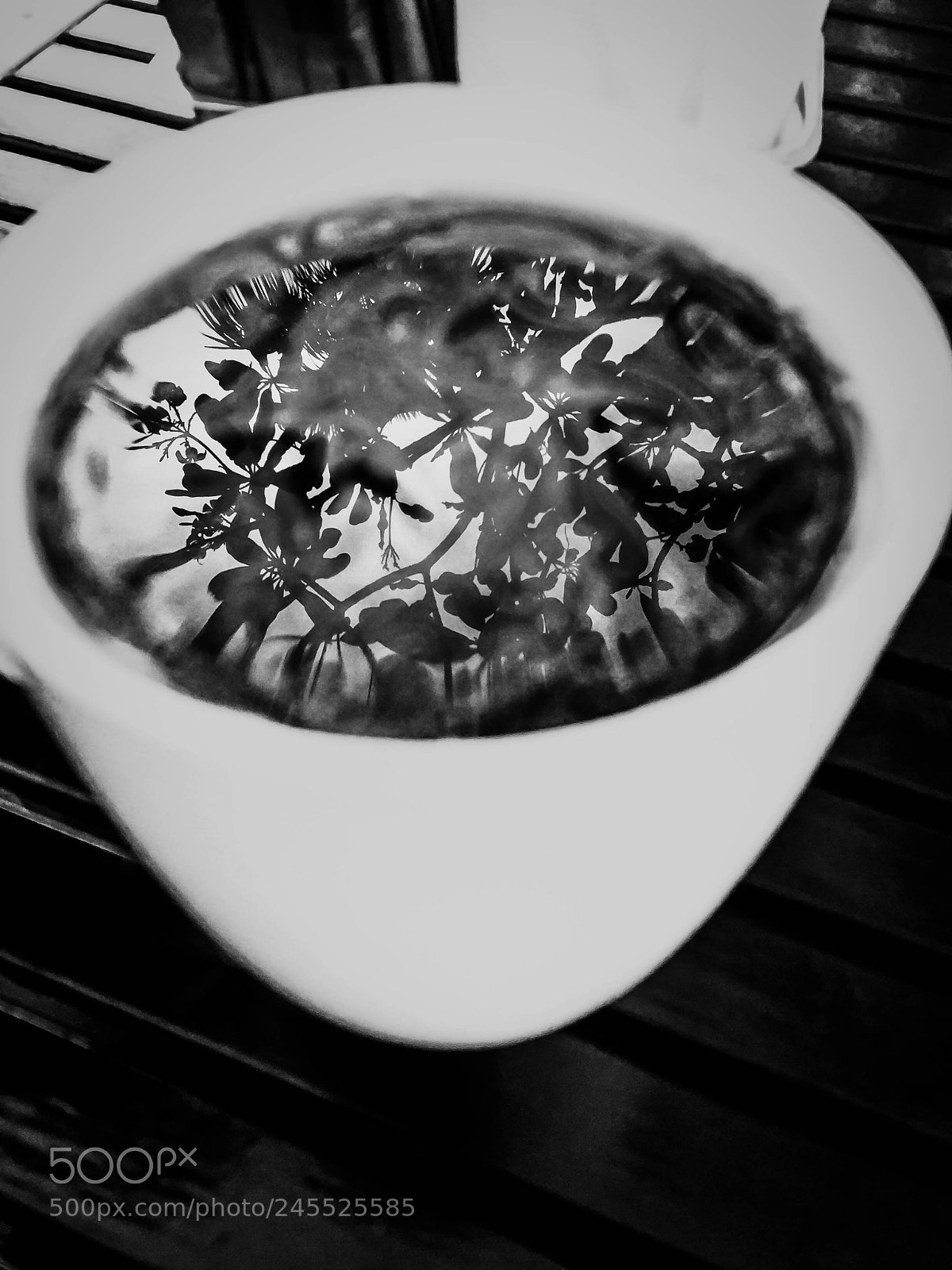 Apple iPhone 6 sample photo. Morning coffee photography