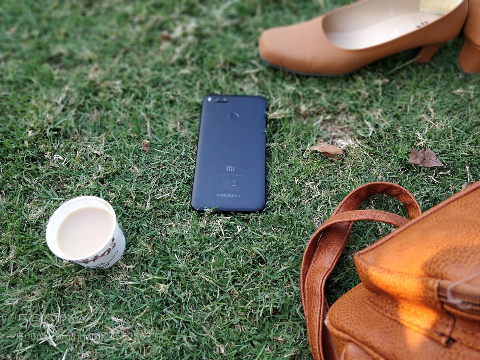 OnePlus 5T sample photo. Untitled photography