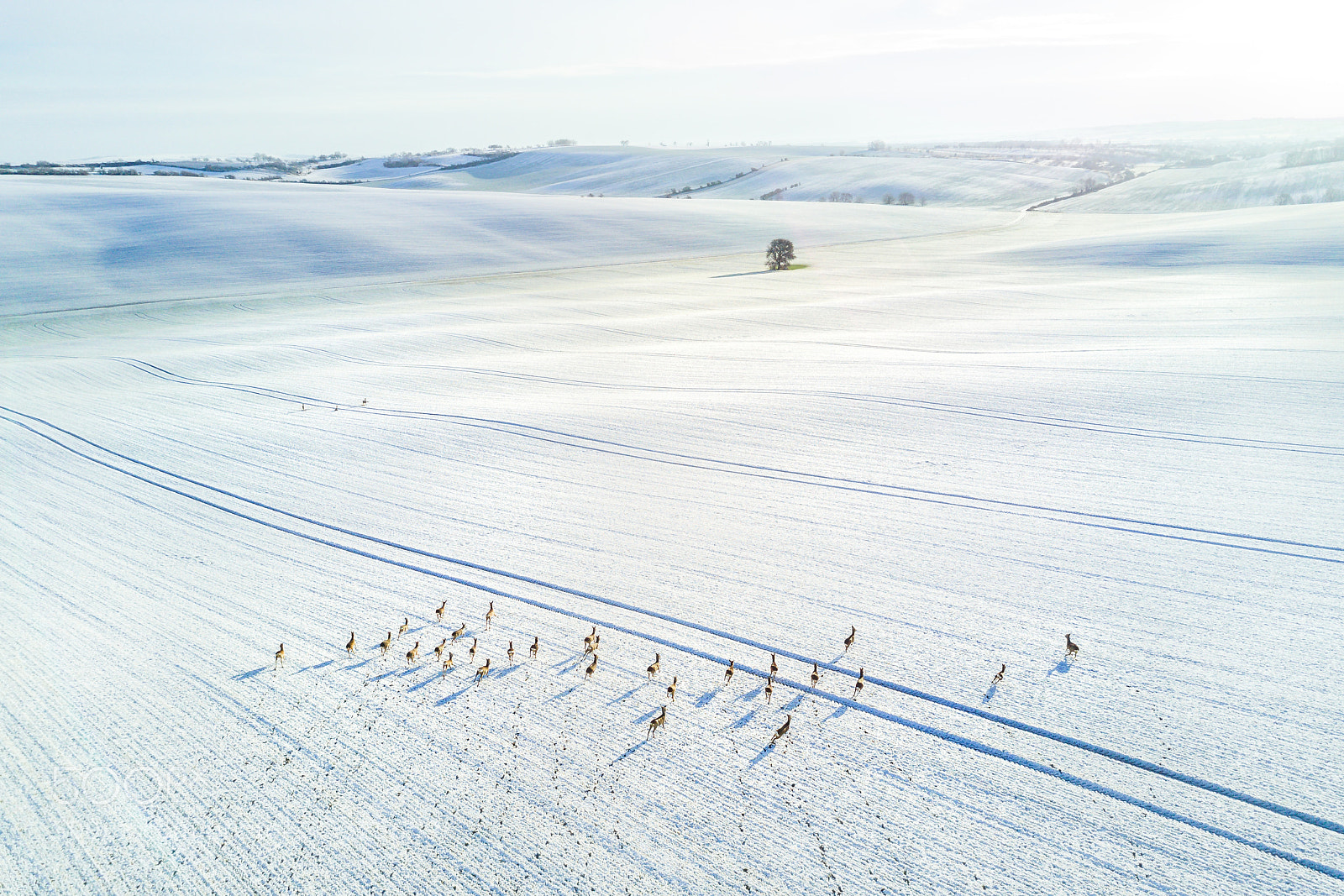 DJI FC220 sample photo. Winter in south moravia photography