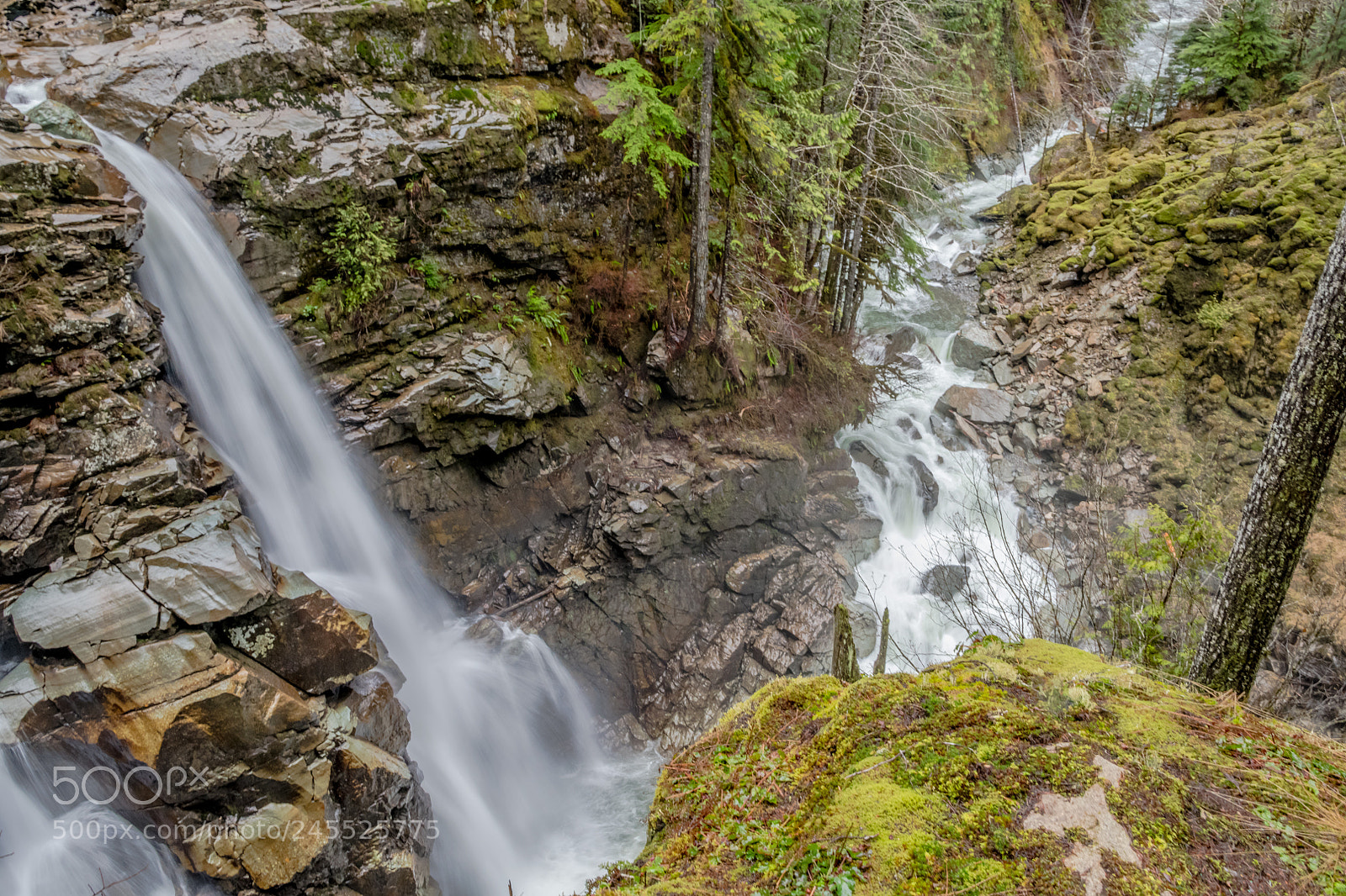 Nikon D850 sample photo. Nooksack falls on a photography