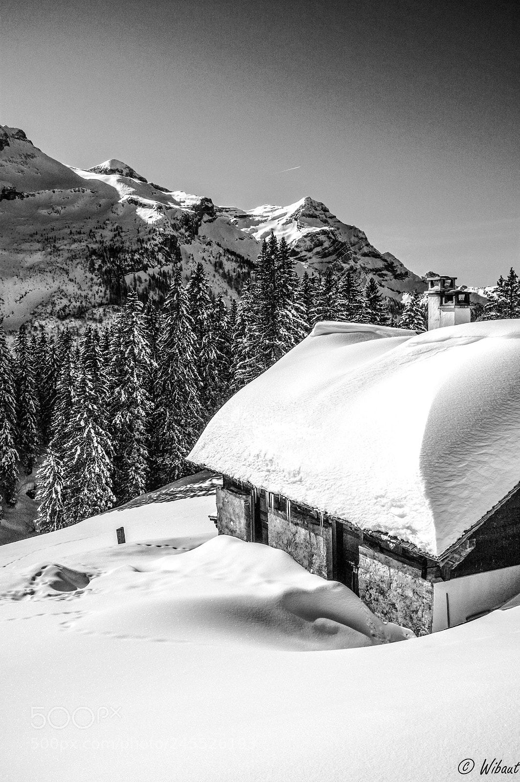 Fujifilm FinePix X100 sample photo. Chalet photography