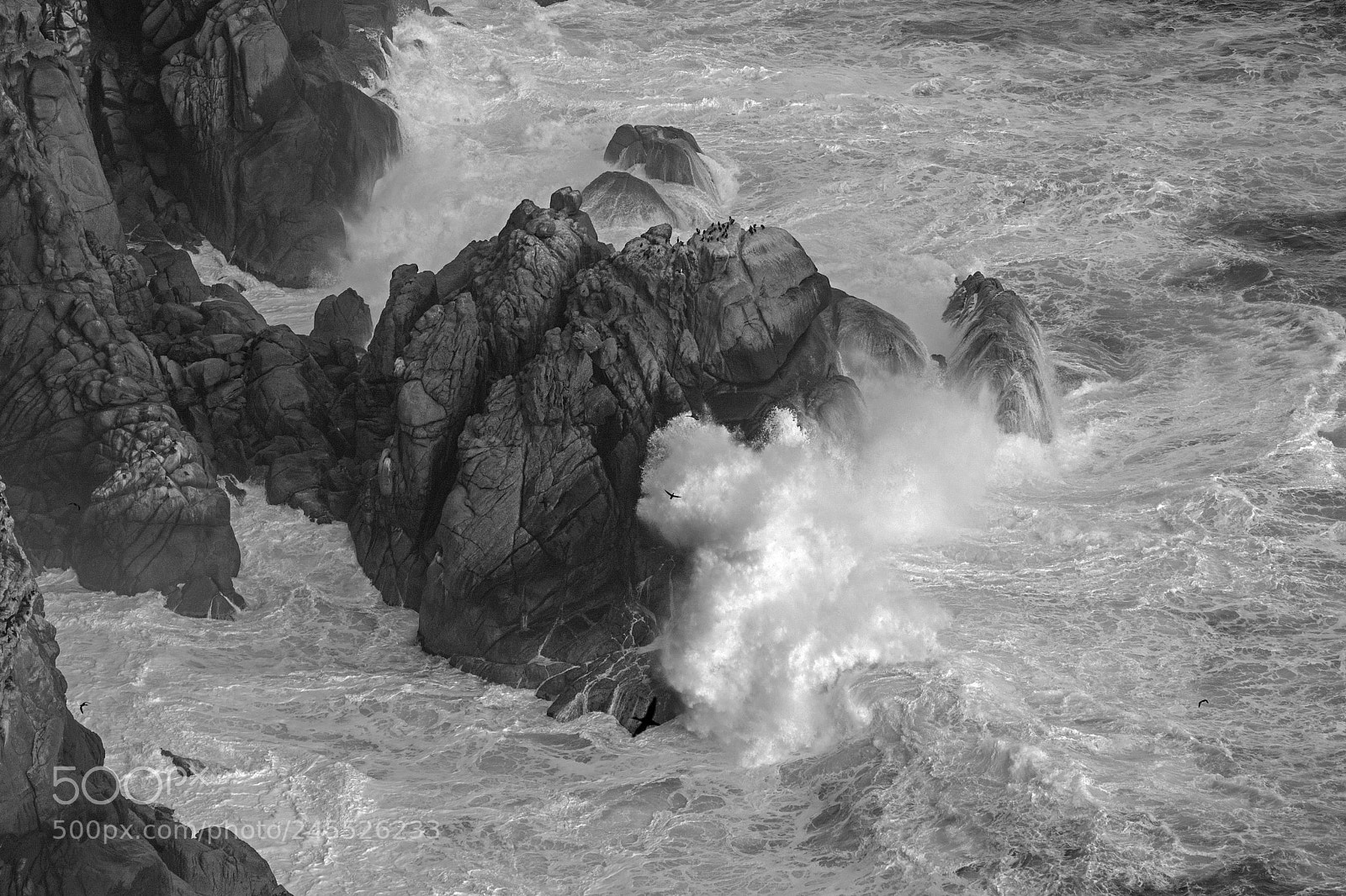 Nikon D7100 sample photo. Living in the rocks photography