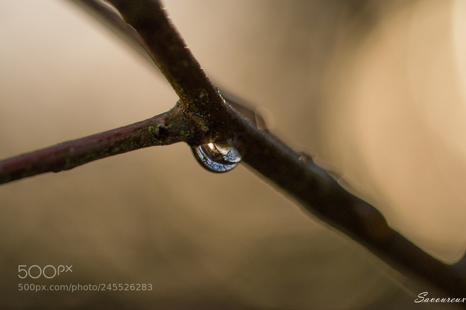 Nikon D5500 sample photo. Juste une goutte photography