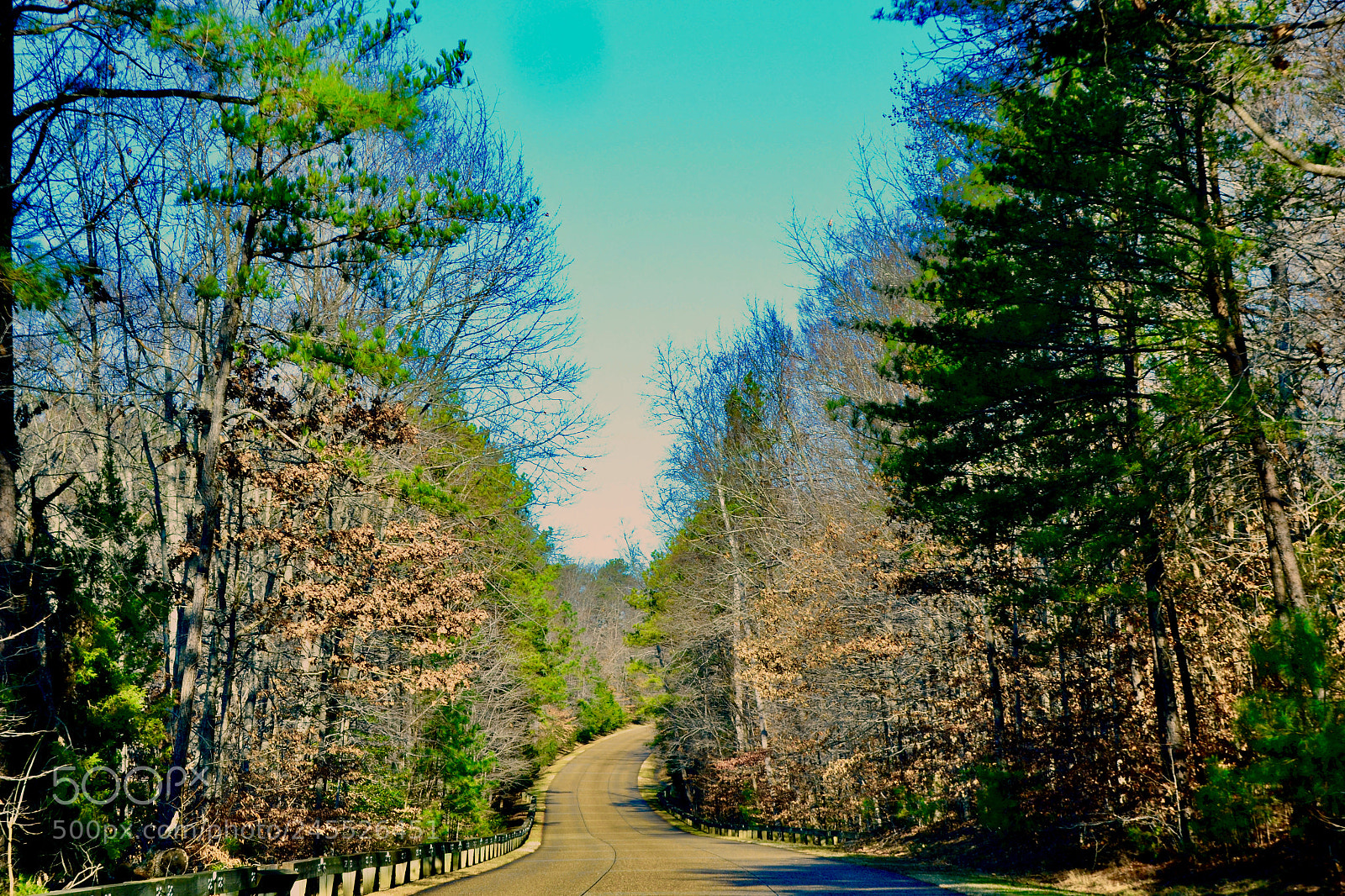 Nikon D3100 sample photo. Williamsburg va, usa photography