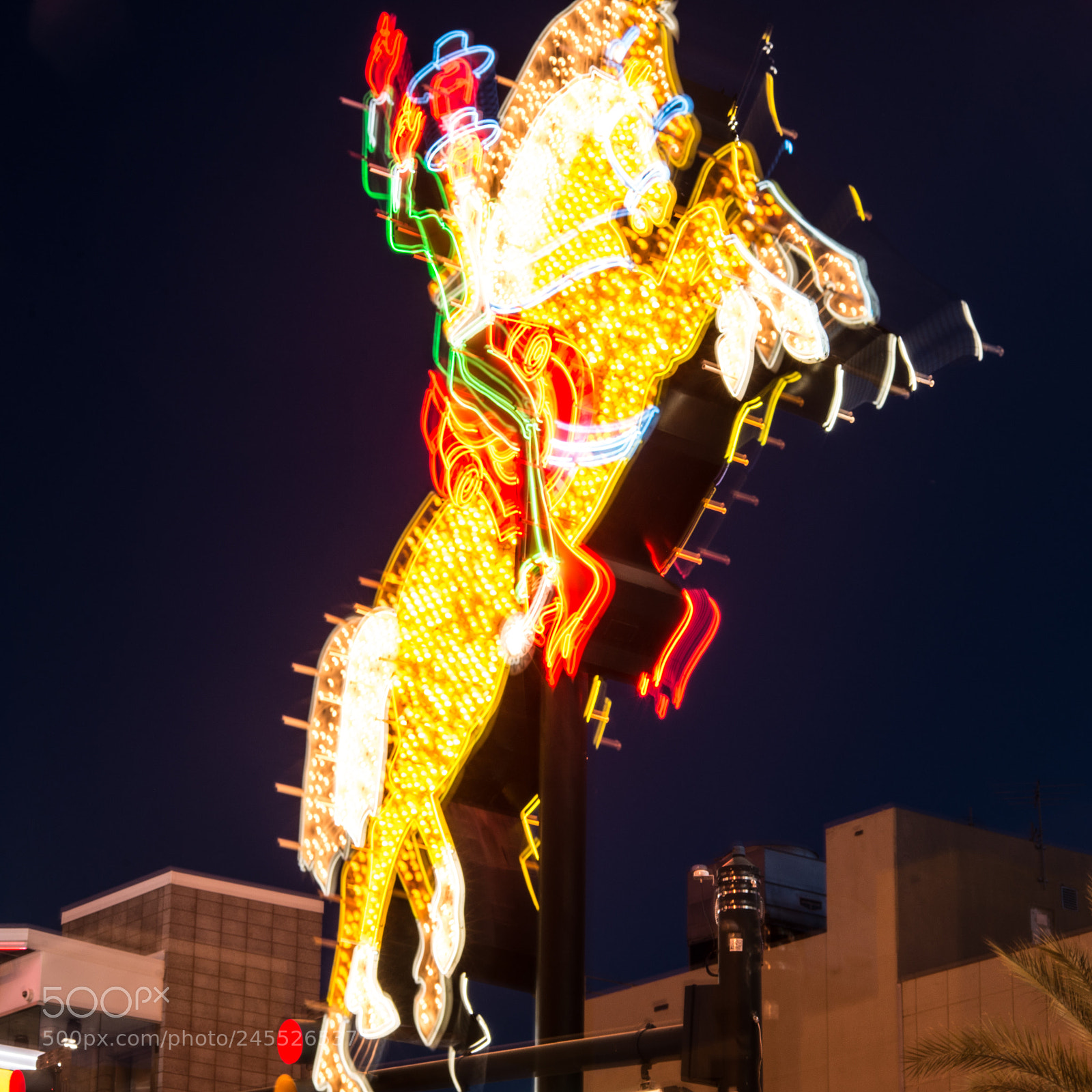 Nikon D610 sample photo. Giddy up photography