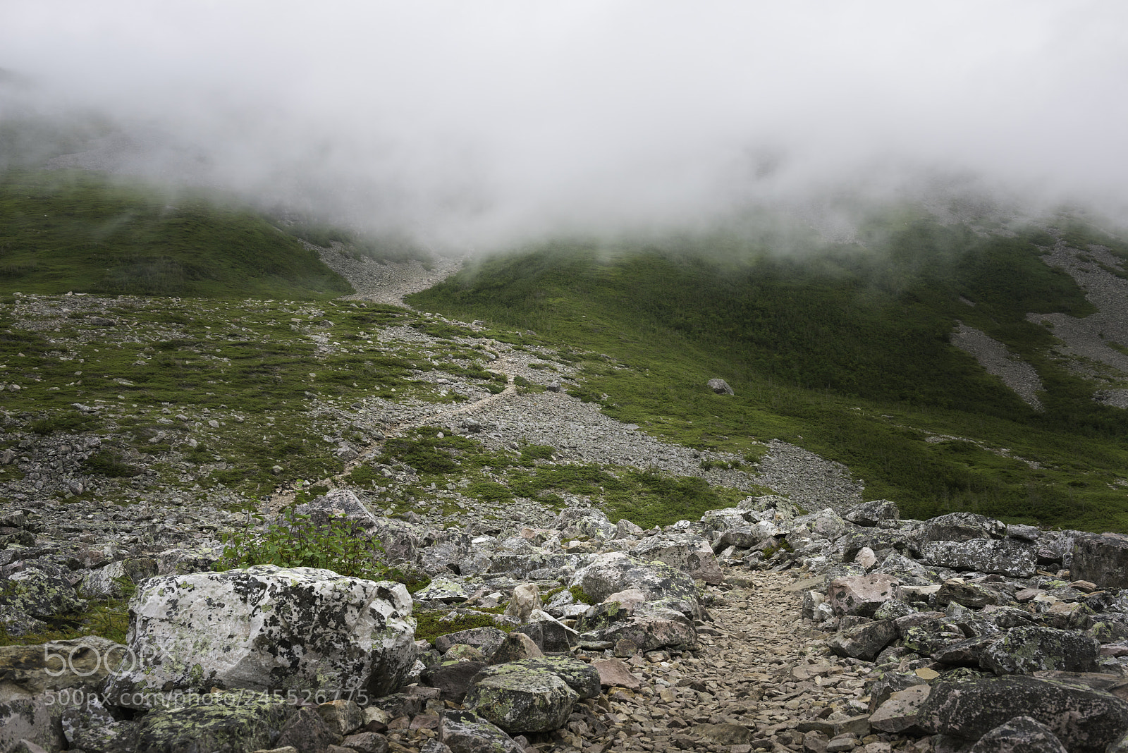 Nikon D810 sample photo. Rocky trail at gross photography