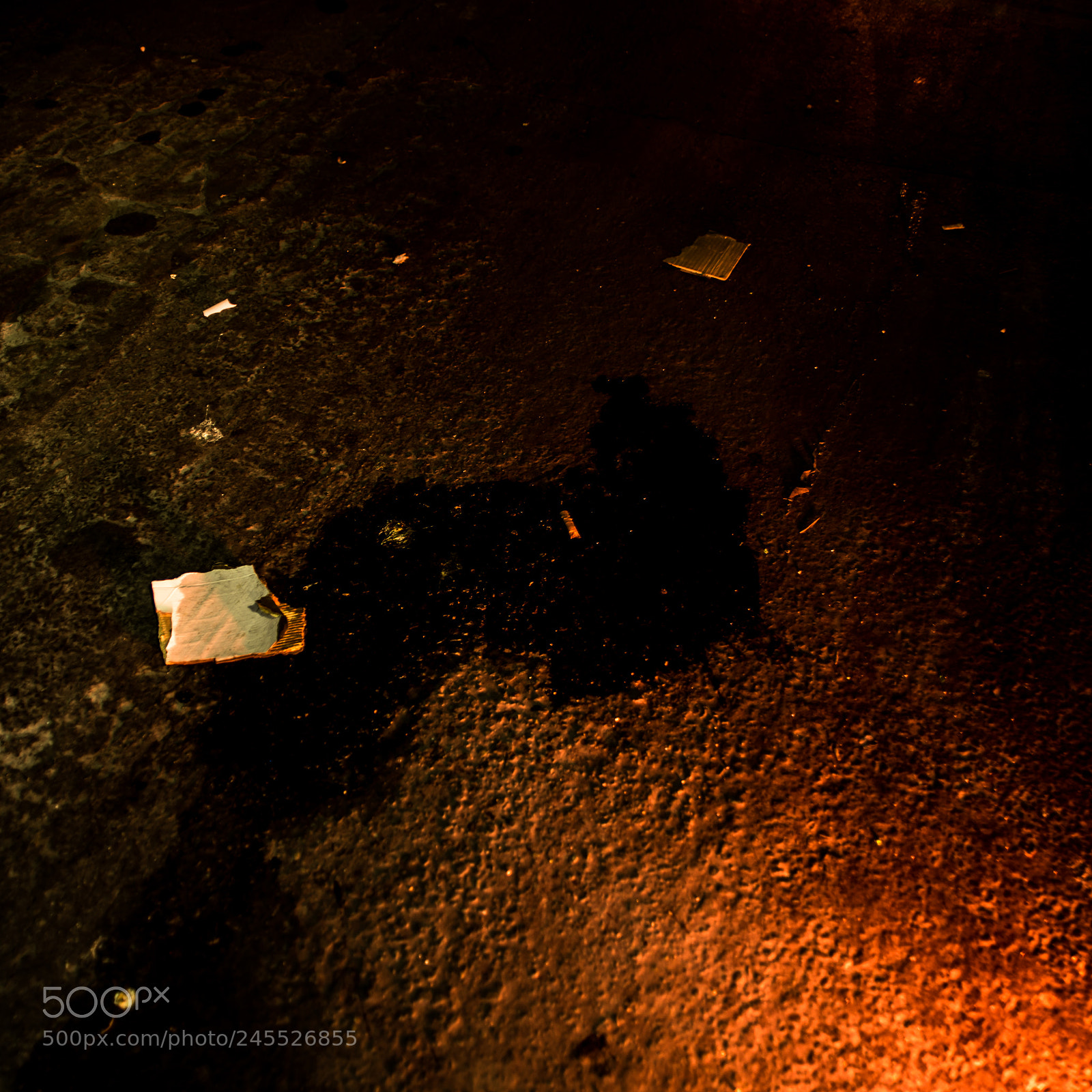 Nikon D610 sample photo. Things that go bump photography