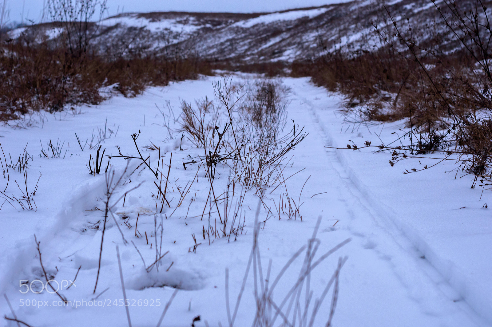Nikon D3200 sample photo. Untitled photography