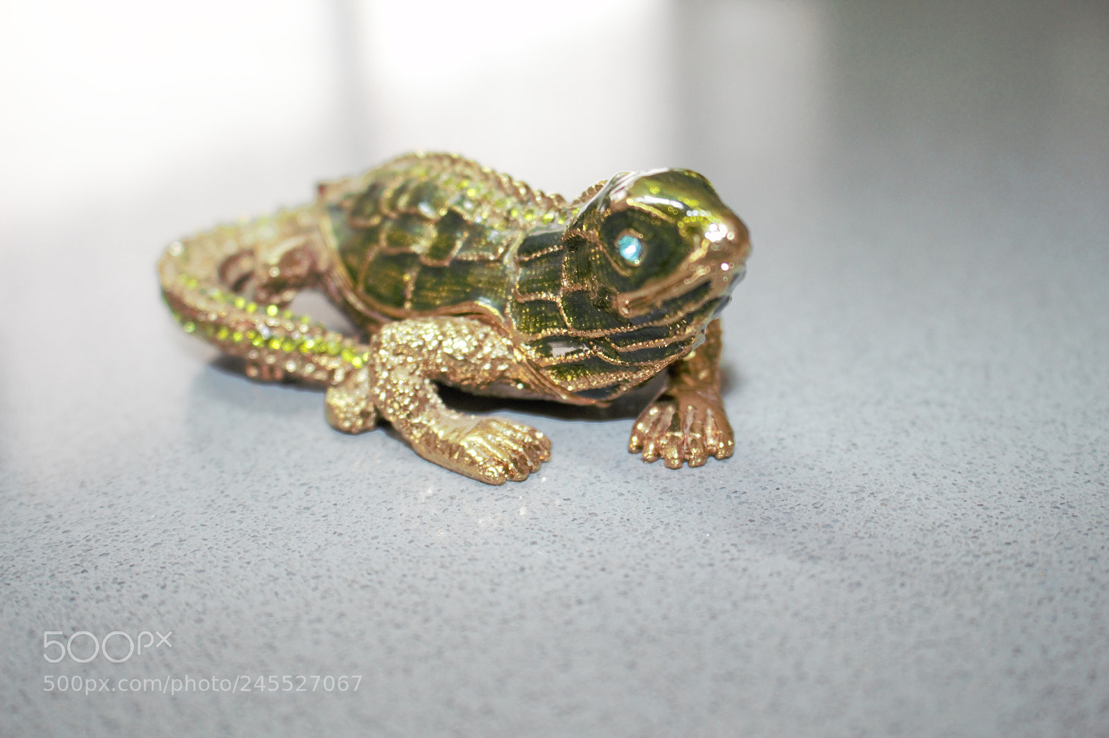 Canon EOS 700D (EOS Rebel T5i / EOS Kiss X7i) sample photo. The lizard photography