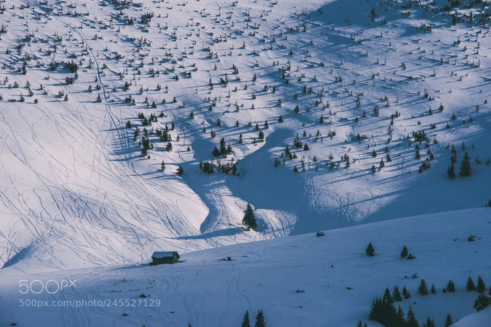 Nikon D800 sample photo. Winter tale photography
