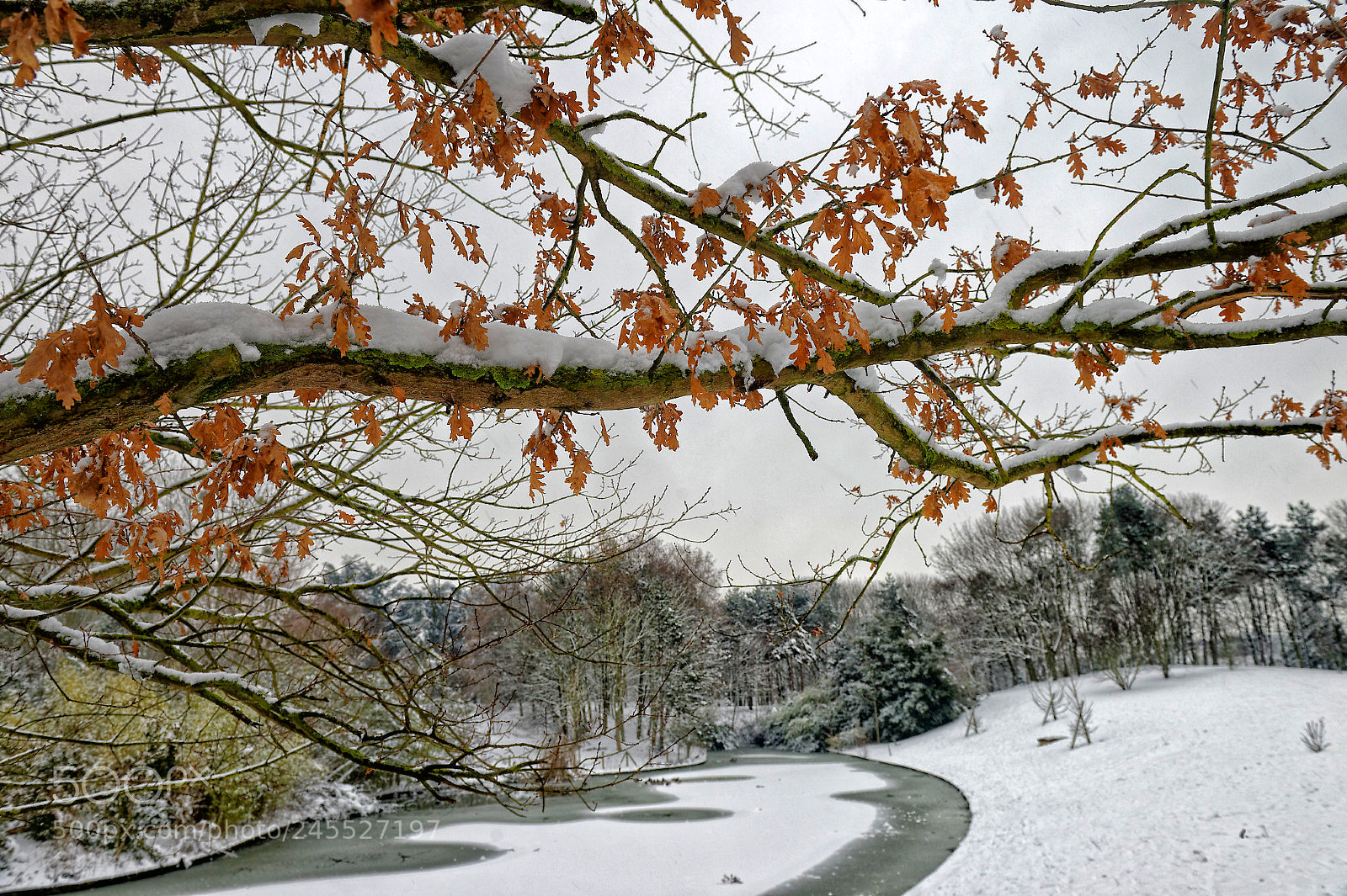 Nikon D4 sample photo. Such a quiet afternoon photography