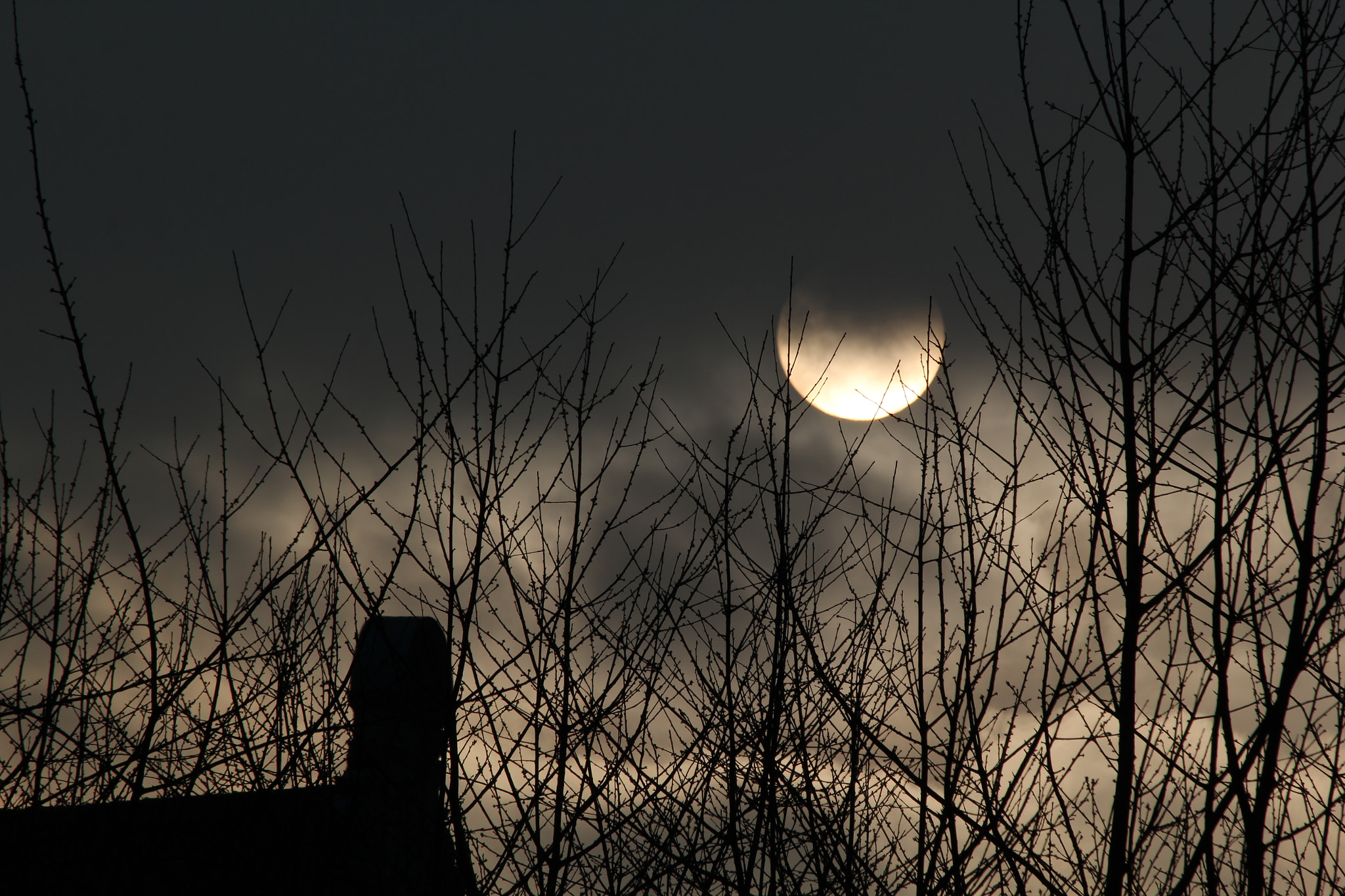Canon EF 70-300mm F4-5.6 IS USM sample photo. Midnight? photography
